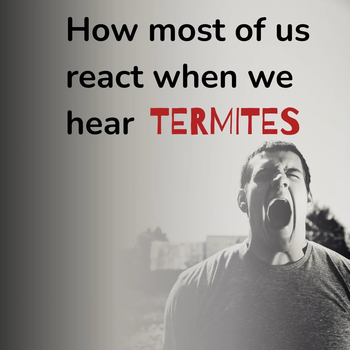 Look, we hate &lsquo;em as much as you do. 🐜🚫 But in the battle for your home, you can only beat what you can find.

Termites are experts at staying out of sight, but we&rsquo;re experts at finding their "mud tube" tactical routes. But we