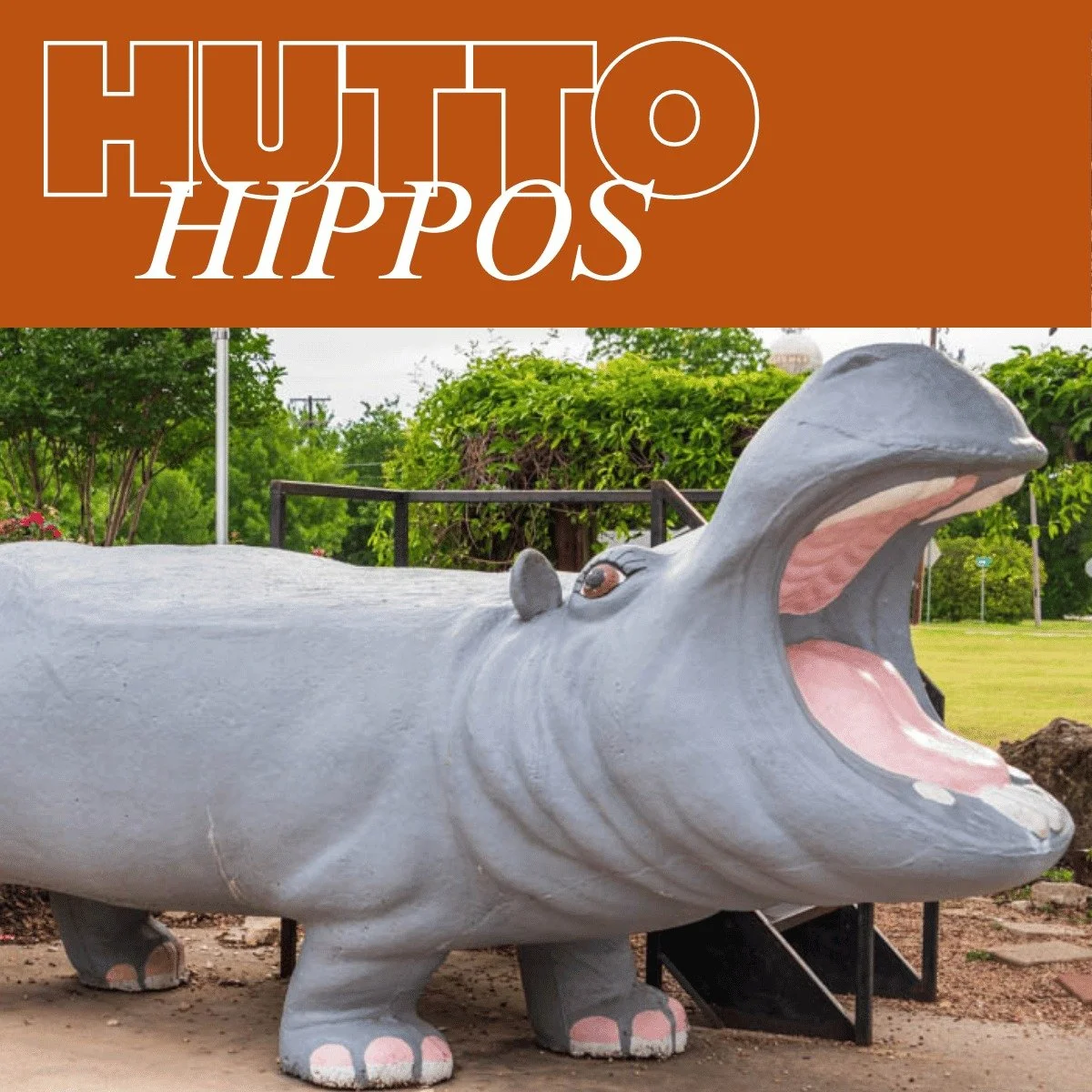 The number one thing everyone knows about Hutto? HIPPOS! 🦛  And while that is definitely the most fun fact about Hutto, the new Samsung plant, developing neighborhoods and of course home inspection services are pretty interesting too. Learn all abou
