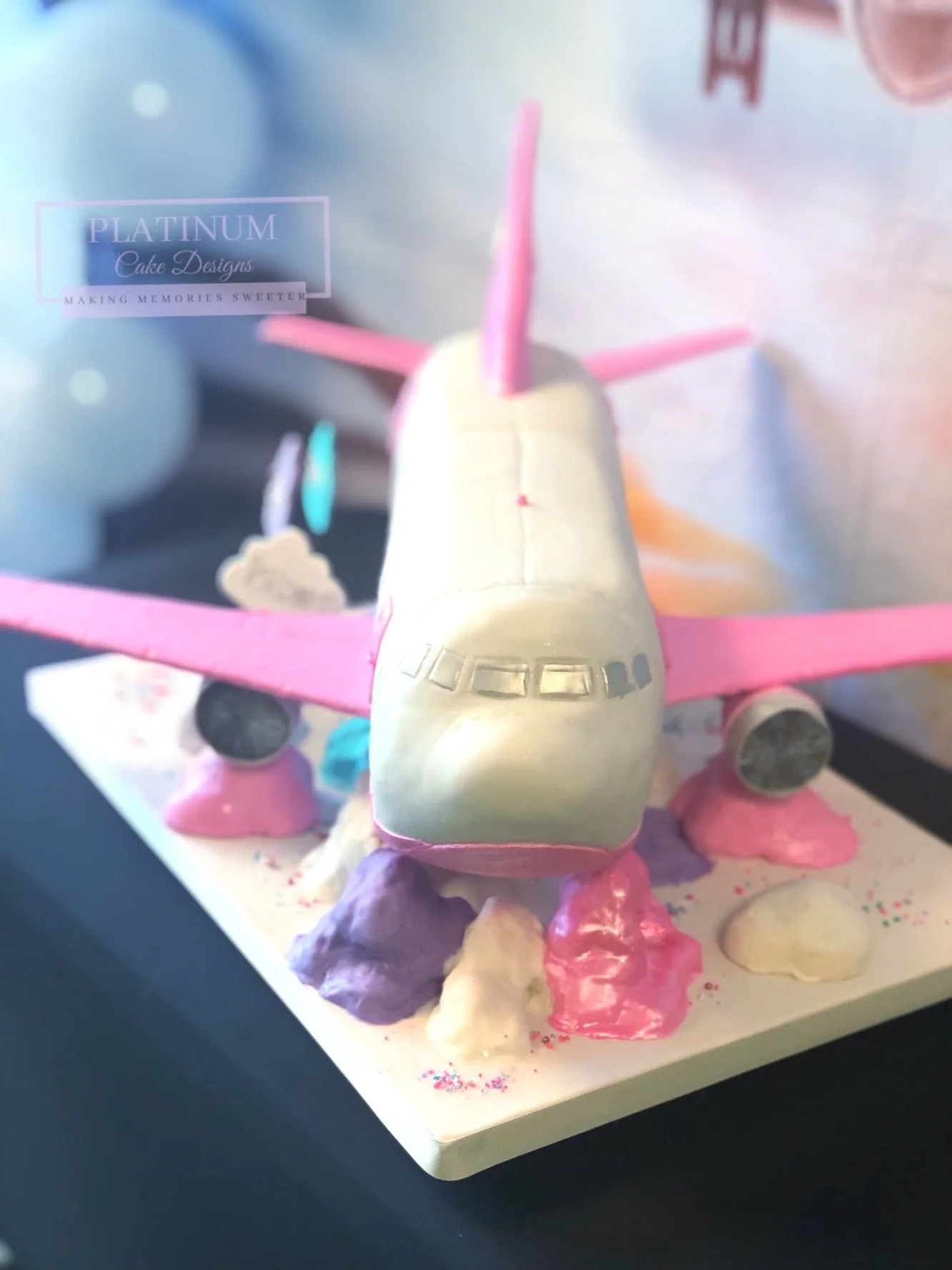Sculpted Airplane birthday cake front.JPG