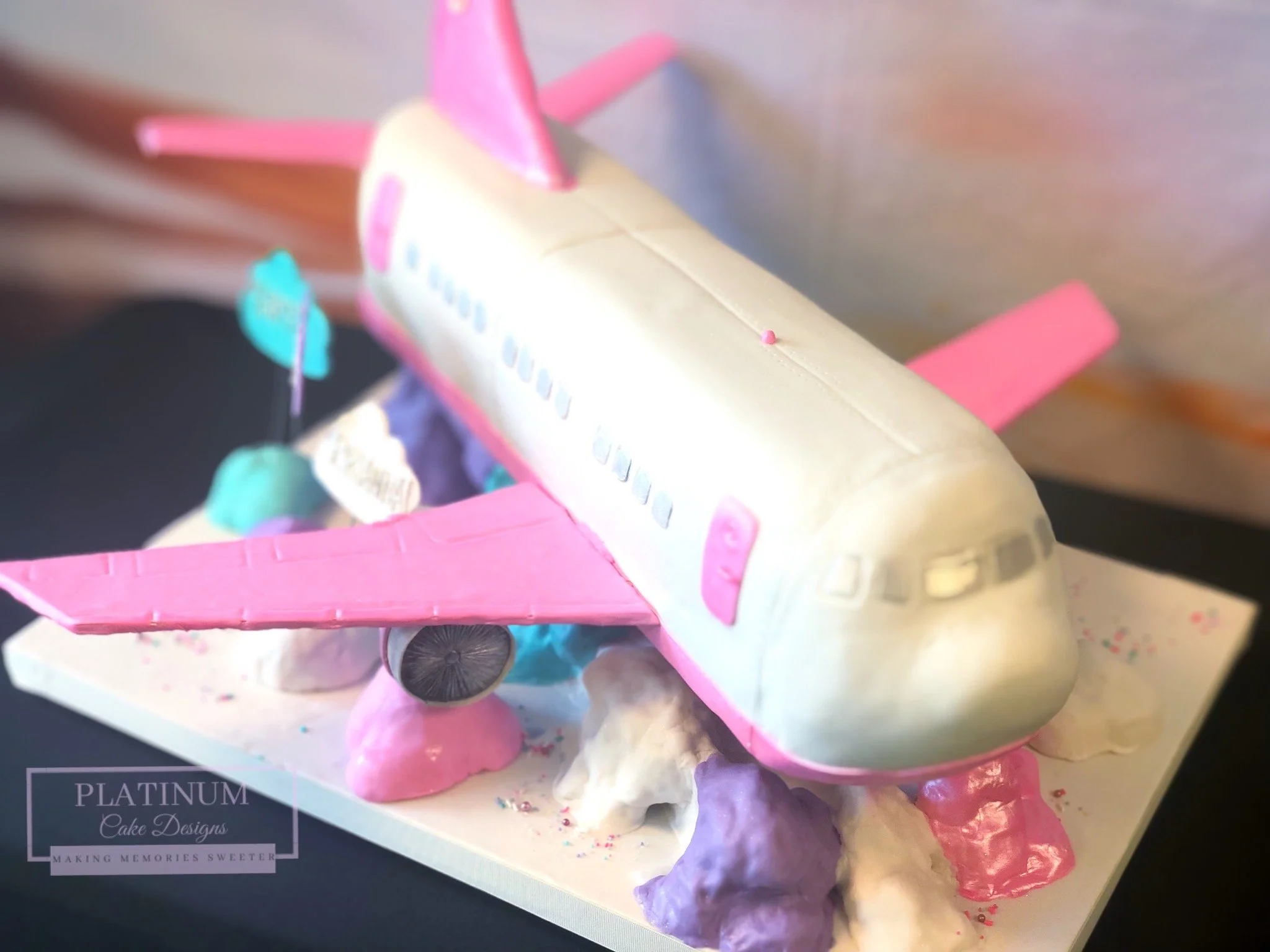Sculpted airplane birthday cake side.JPG