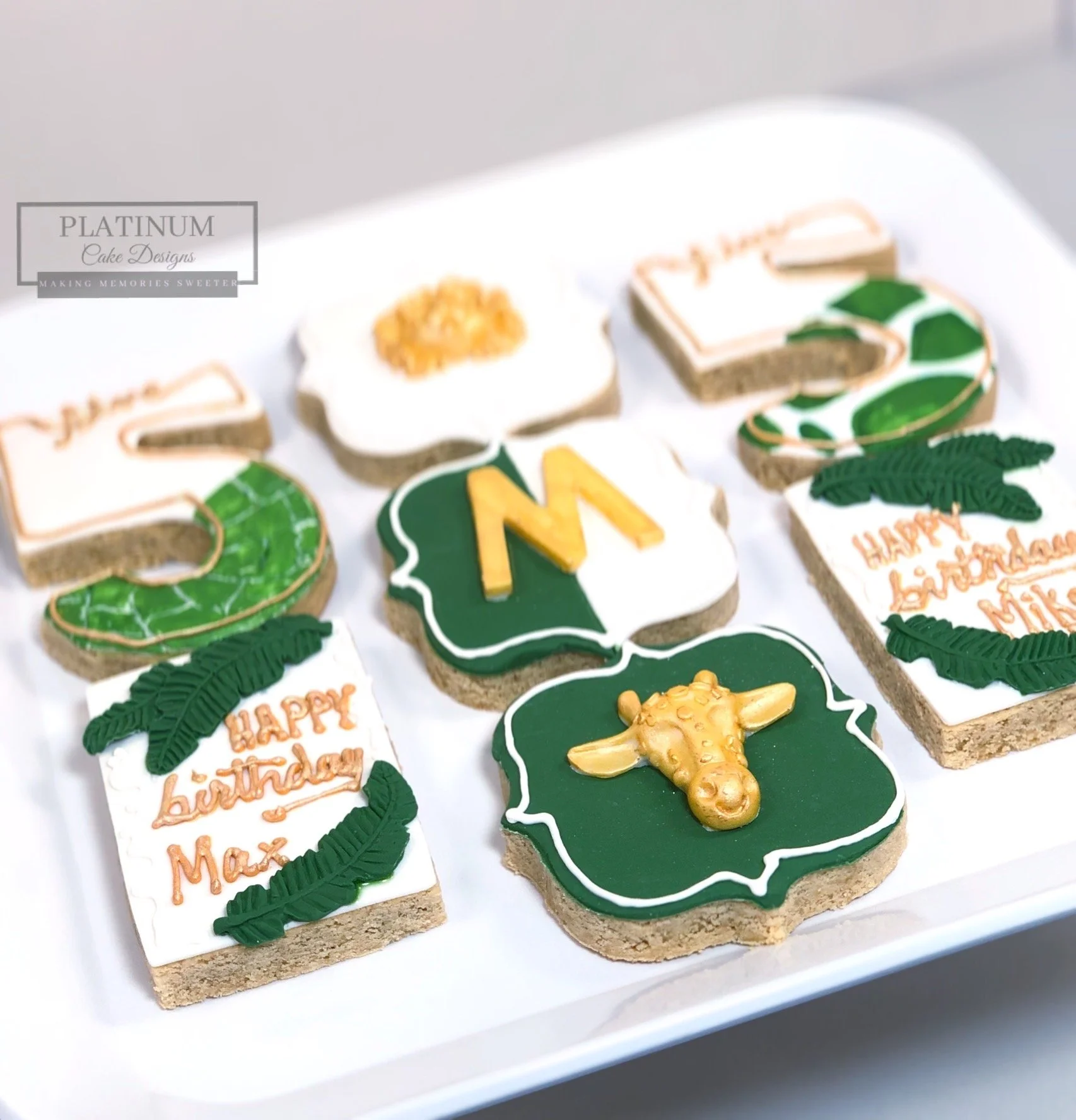 5th Birthday Twins Jungle Cookie Set side2.jpg
