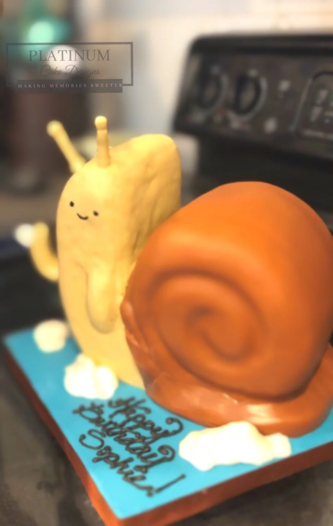 Sculpted Snail Cartoon Birthday Cake.JPG