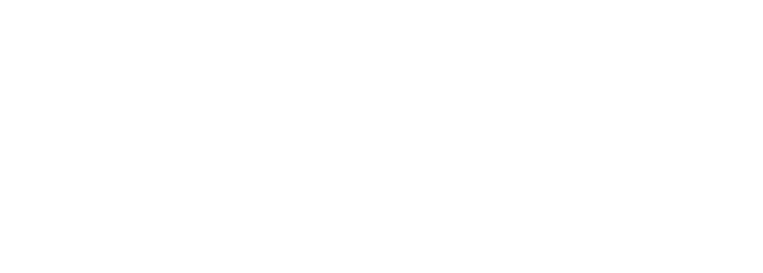 Show Imaging Logo