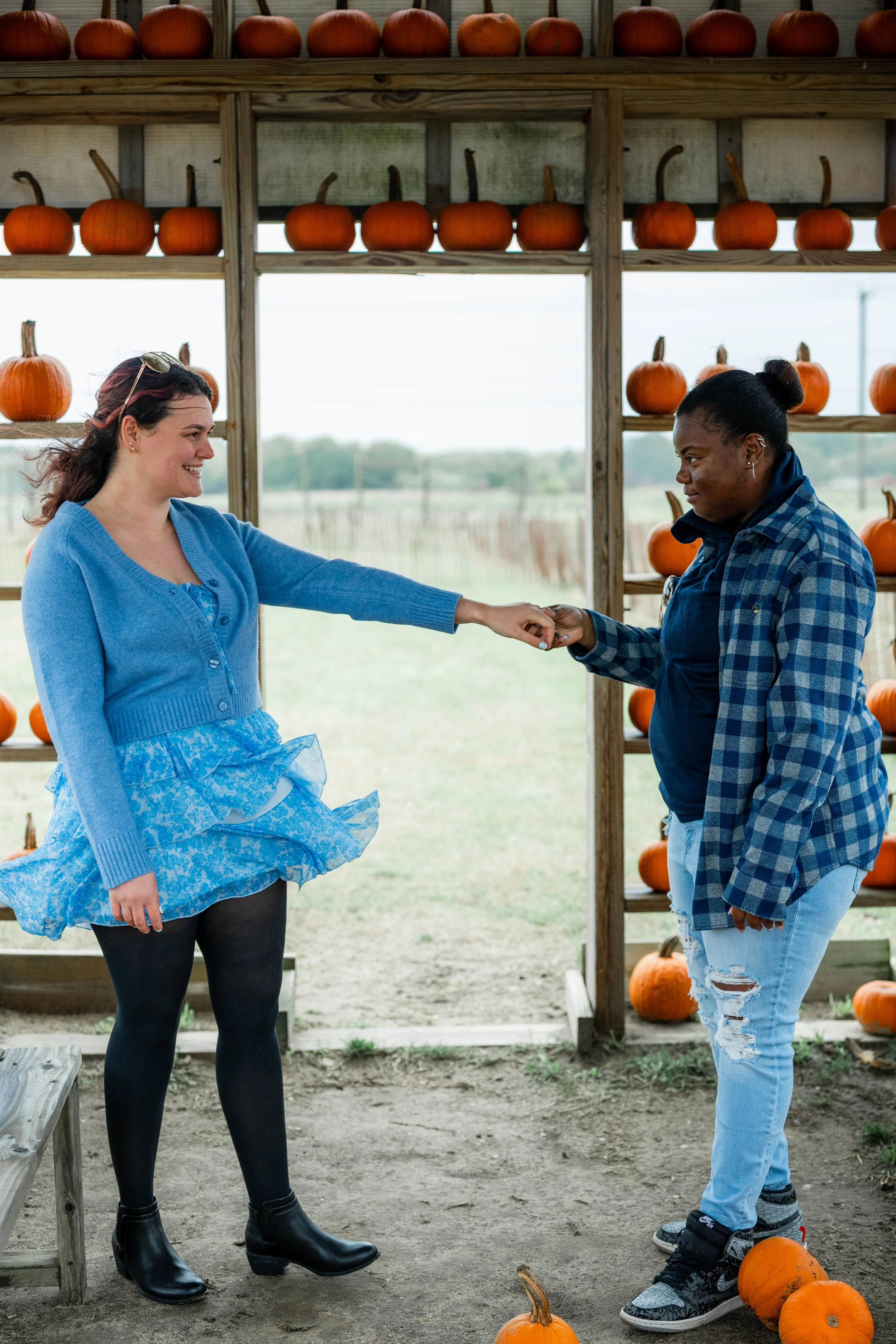Two women exchanging a handshake in a pumpkin patch, with pumpkins on shelves behind them and on the ground.