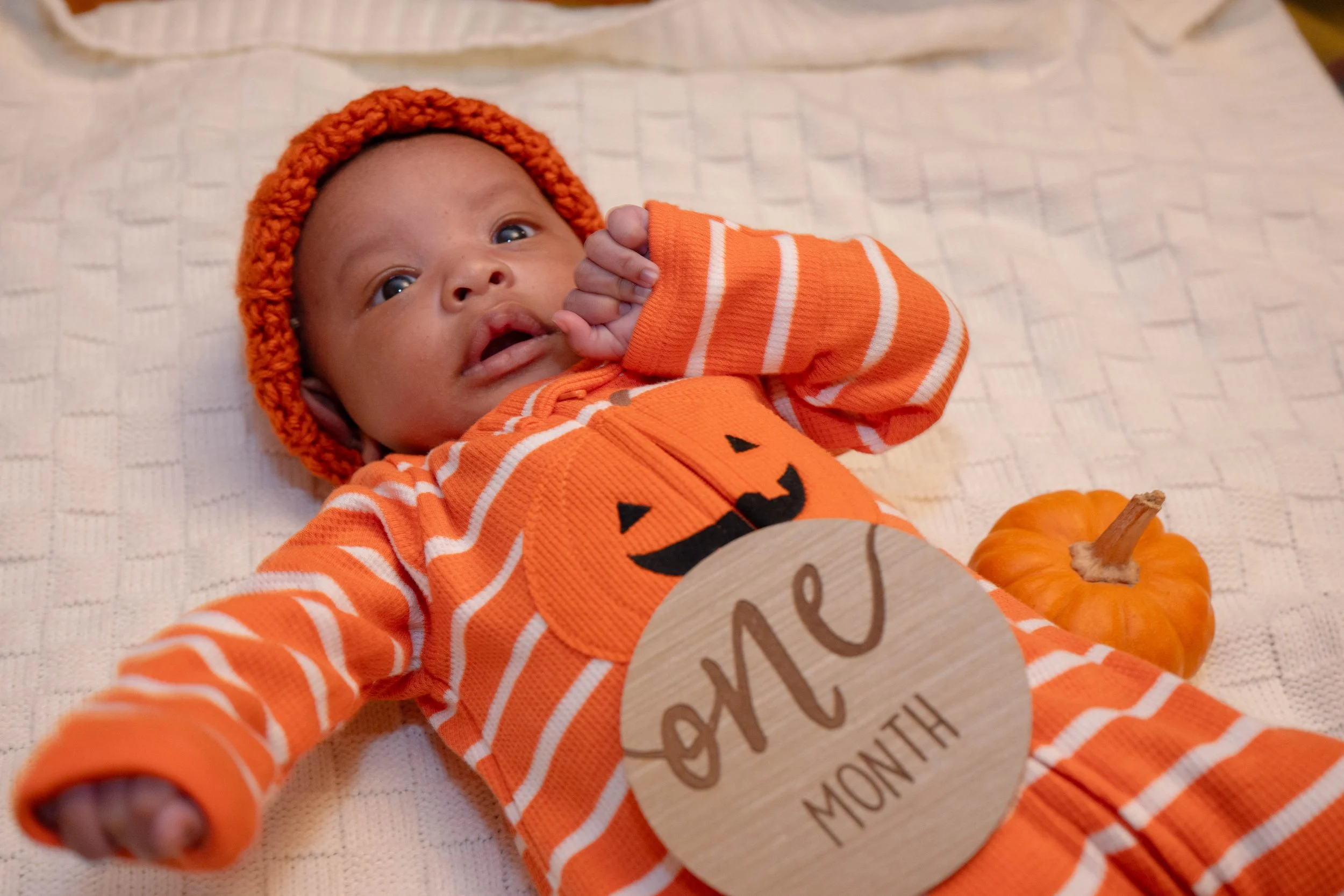 Fall Fmaily Photos-77.jpg