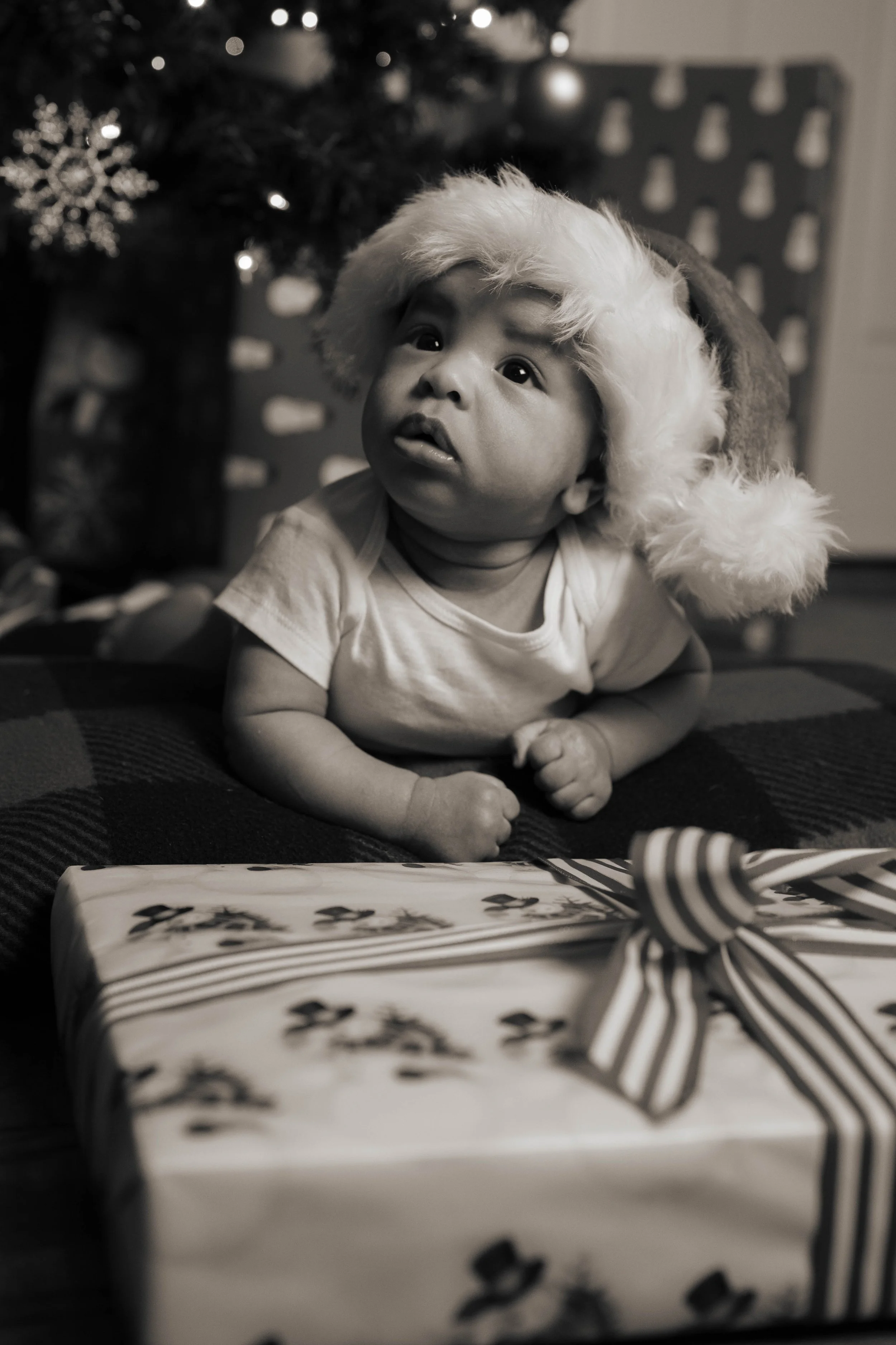 JJ's First Christmas-34.jpg