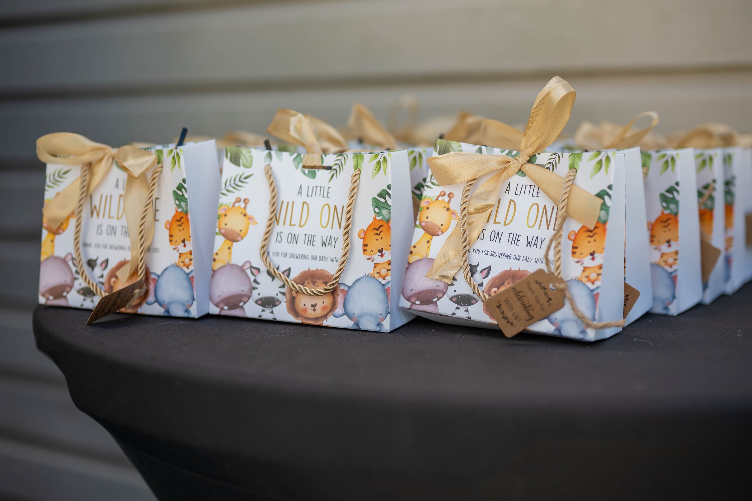 Annakay Baby Shower-12.jpg