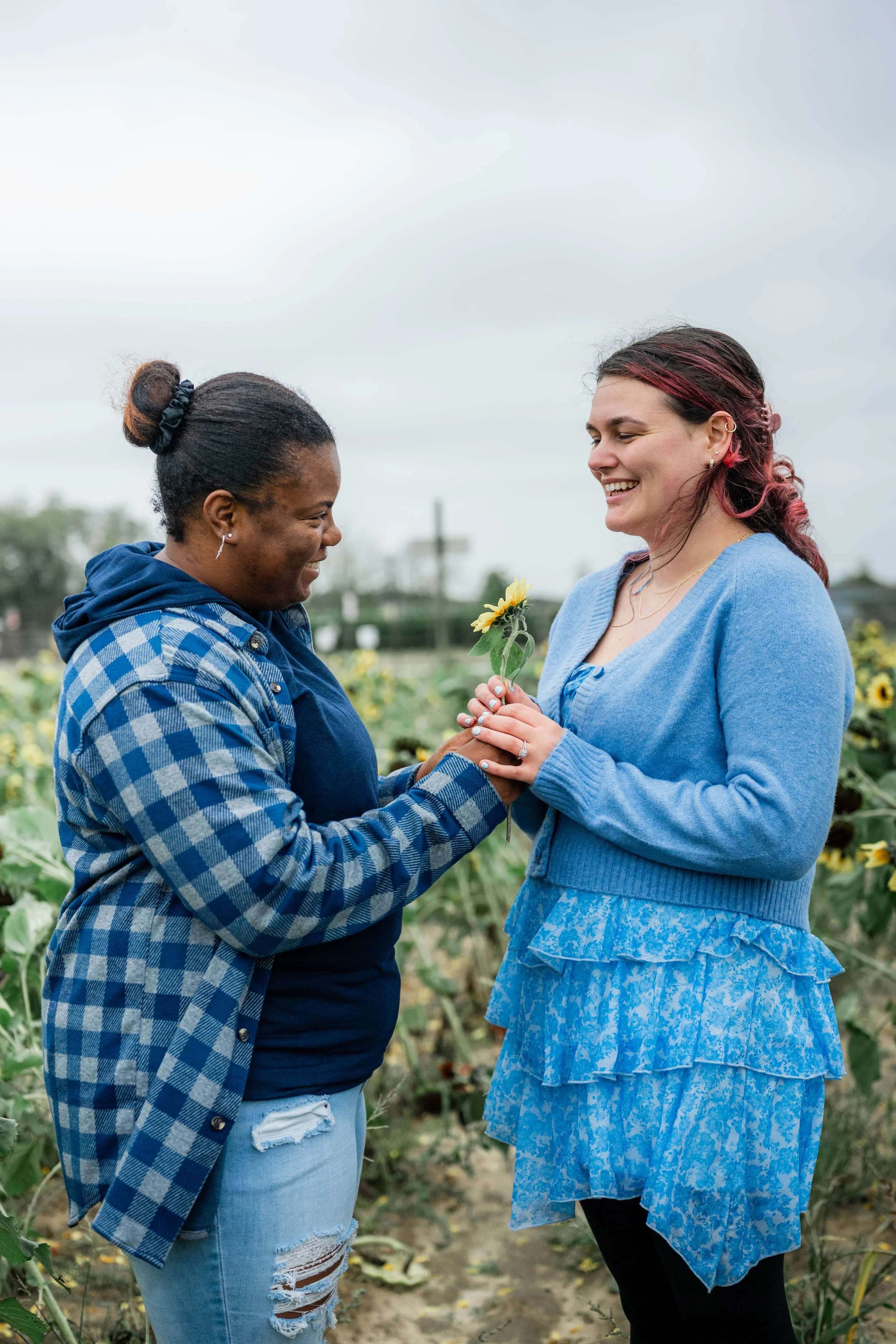 Two women standing in a sunflower field, exchanging a sunflower, smiling, with cloudy sky in the background.