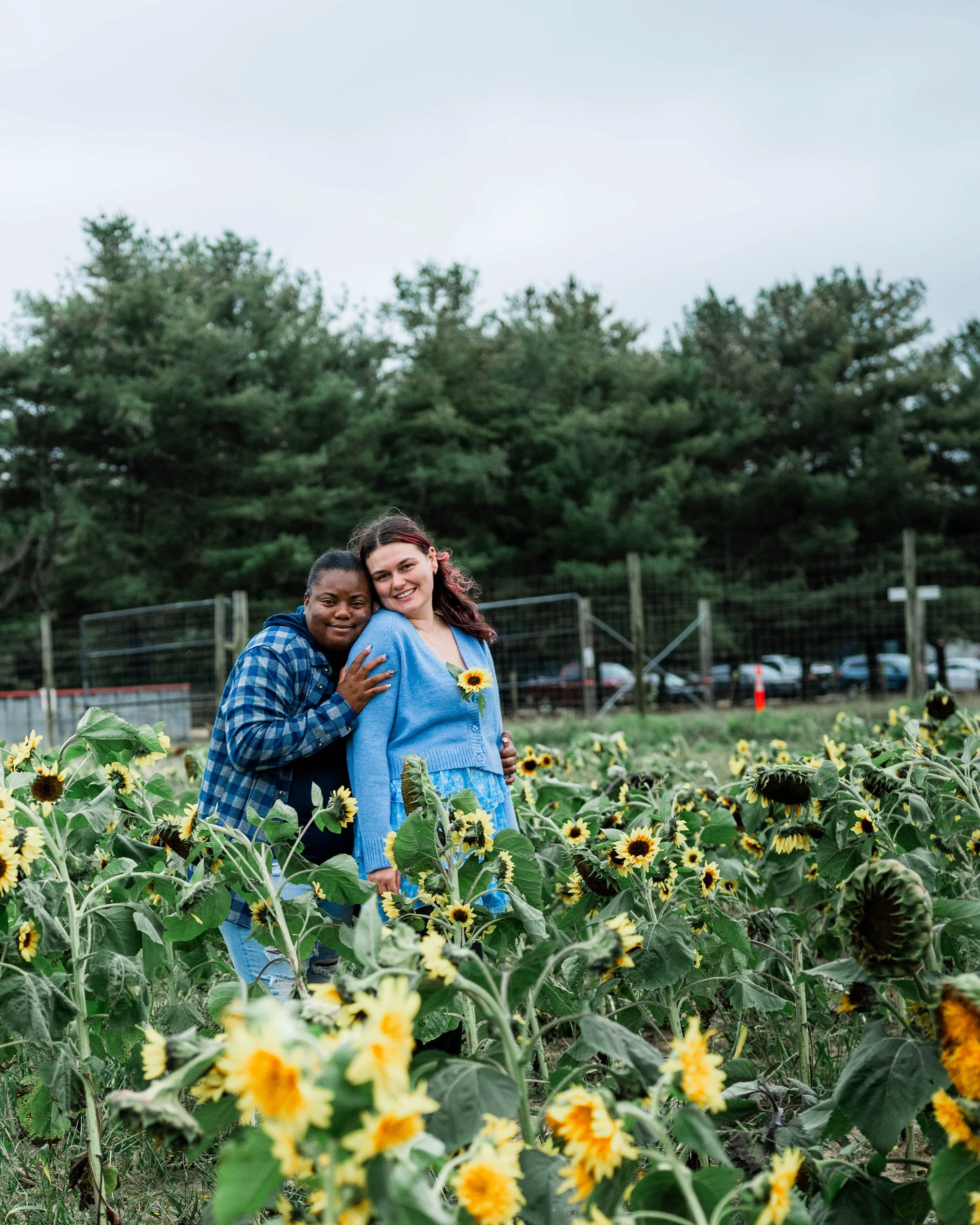 Two women standing in a sunflower field, smiling and hugging. One woman has dark skin and the other has light skin. They are dressed casually, with the woman in blue wearing a sunflower pin. Behind them are trees and a fence, with a cloudy sky overhe