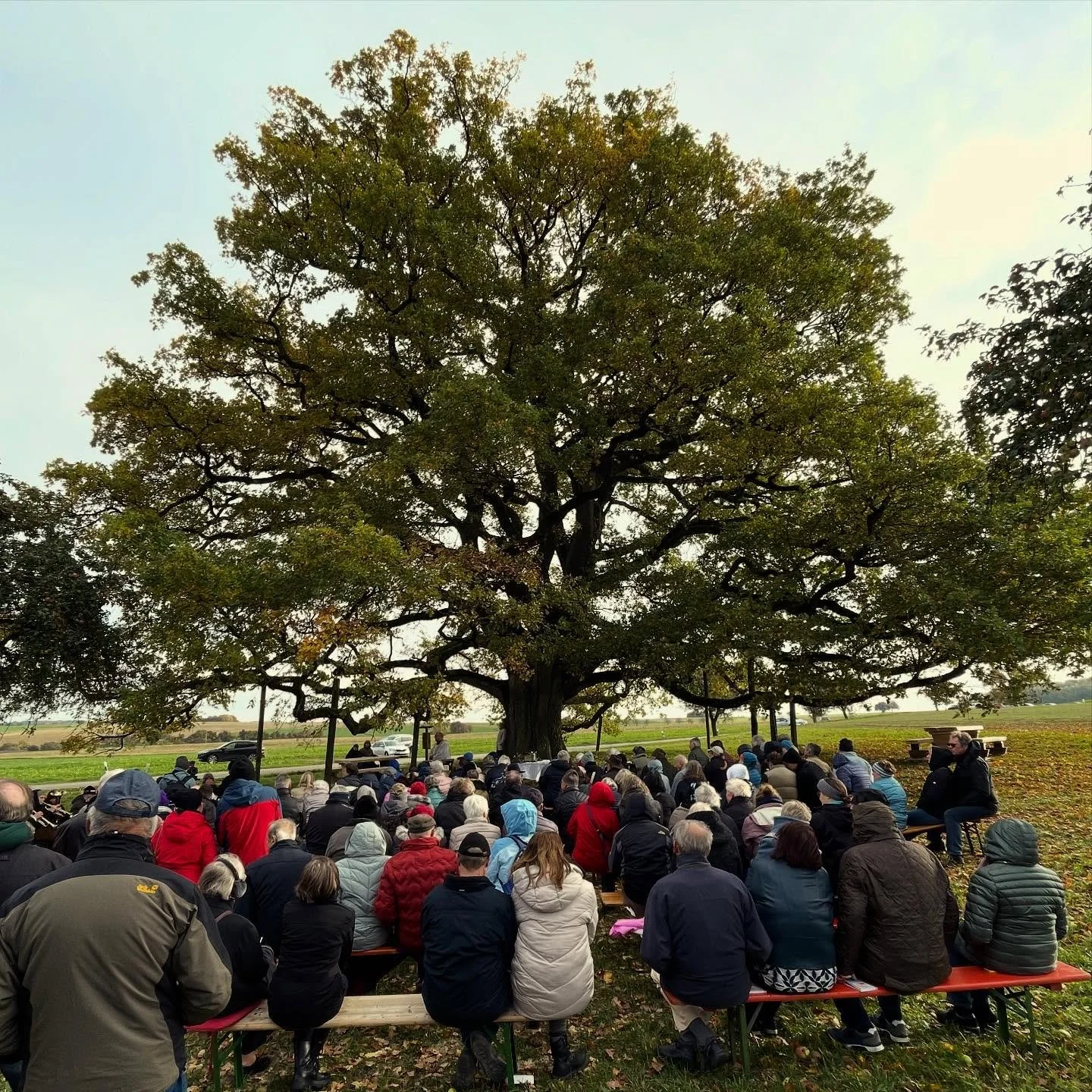 🌳✨ Heute wurde die beeindruckende Lenzeiche in Sichertshausen offiziell zum Nationalerbe-Baum Deutschlands erkl&auml;rt!

Bei strahlender Herbststimmung kamen viele Menschen zusammen, um dieses Naturdenkmal zu feiern &ndash; mit &ouml;kumenischem Go