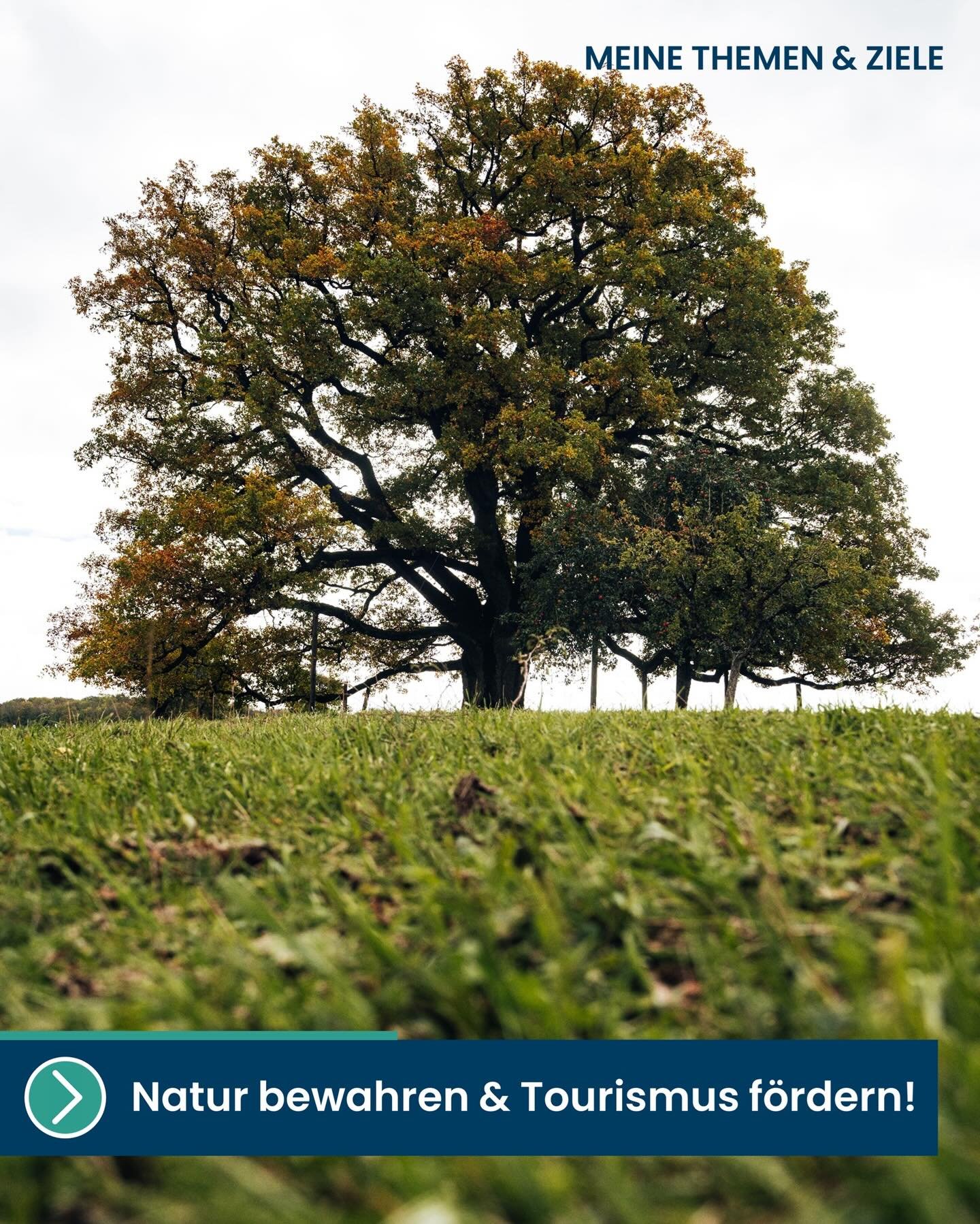 🌿🌳 Natur bewahren &ndash; Tourismus f&ouml;rdern! 🚴&zwj;♂️🌞

Unsere einzigartige Landschaft rund um Niederstetten ist mehr als nur ein sch&ouml;ner Anblick &ndash; sie ist Lebensqualit&auml;t, Heimat und Zukunft zugleich.

Als B&uuml;rgermeister 