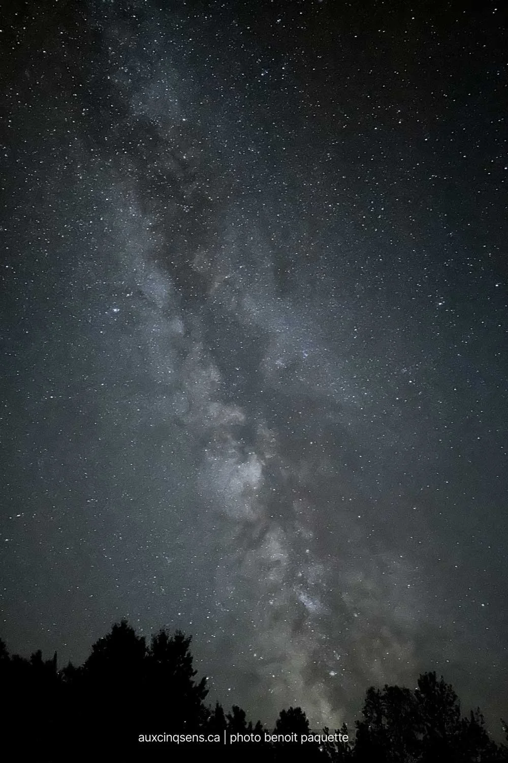 vue-magnifique-du-ciel-et-de-la-voie-lactee-de-l-activite-la-soiree-aux-etoiles-aspect23.jpg