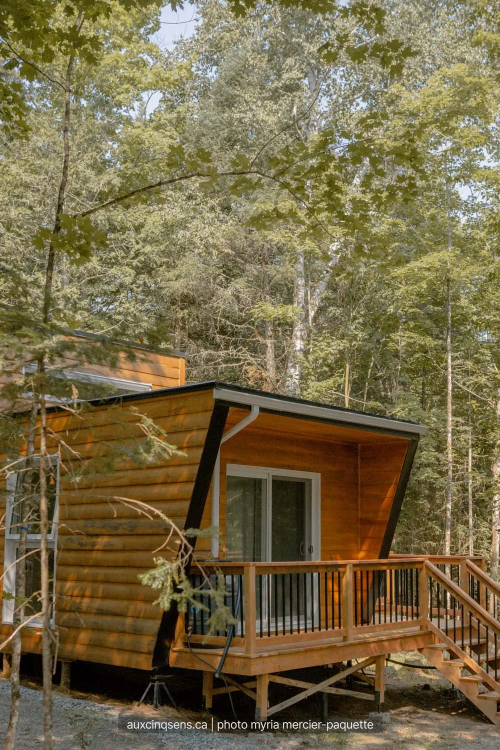foret-et-exterieur-de-la-mini-maison-yarha-aspect23.jpg