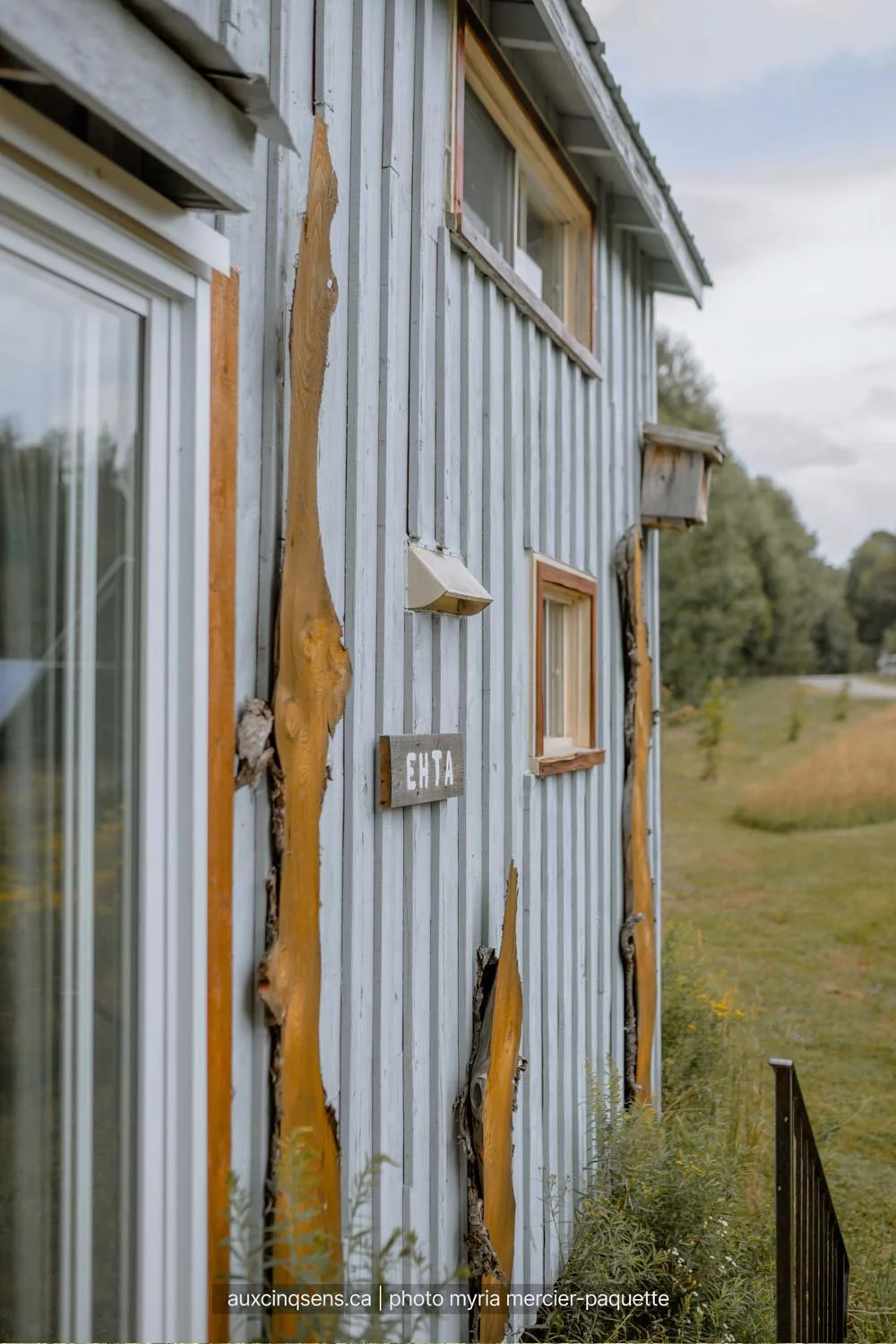 exterieur-et-etendue-gazonnee-sur-le-cote-de-la-mini-maison-ehta-aspect23.jpg