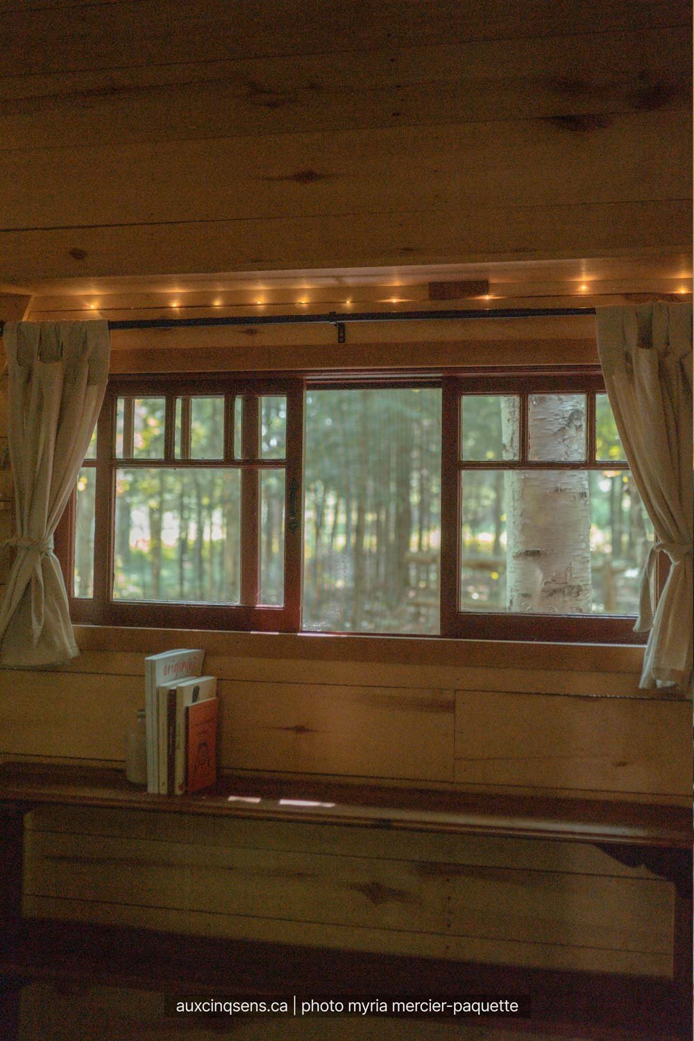 fenetres-donnant-sur-la-foret-dans-le-mini-chalet-chevreuil-aspect23.jpg