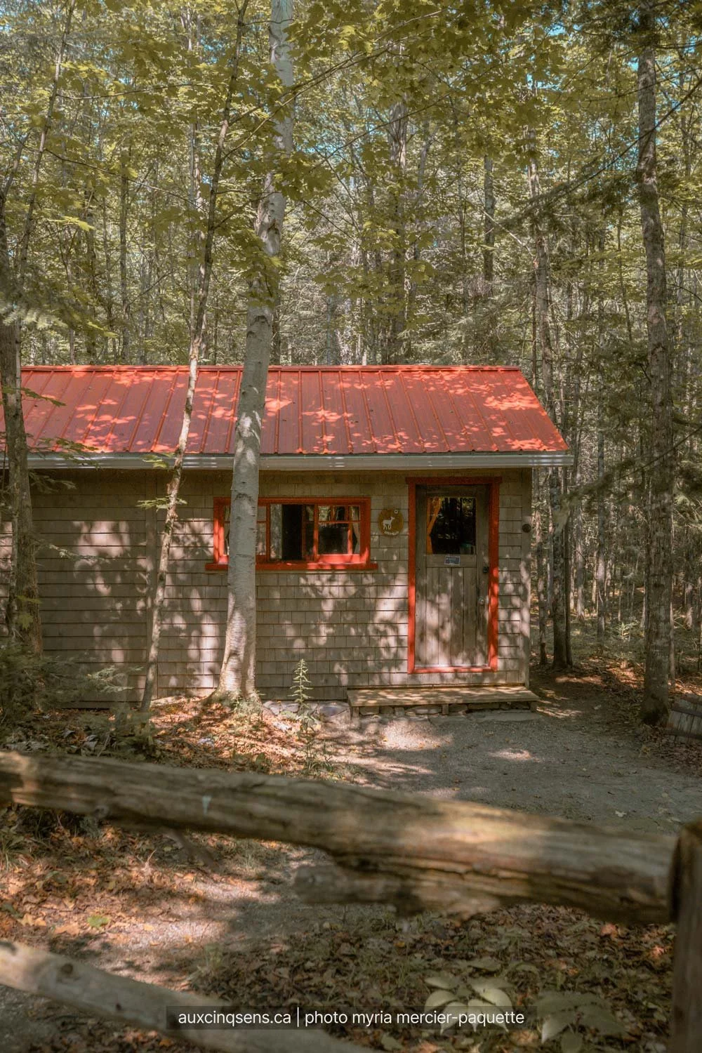 foret-et-exterieur-du-mini-chalet-chevreuil-aspect23.jpg