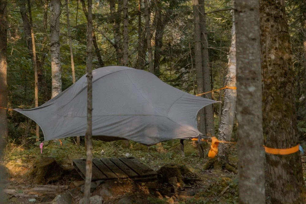 Tente-hamac