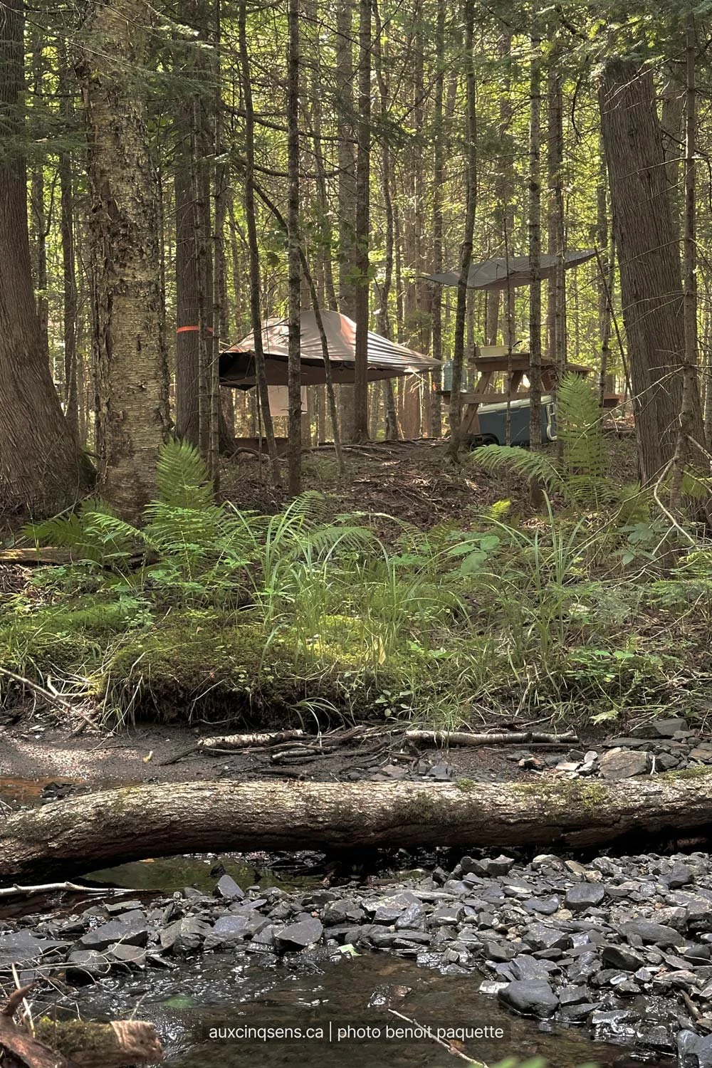 vue-depuis-le-ruisseau-du-site-de-la-tente-hamac-ours-aspect23.jpg