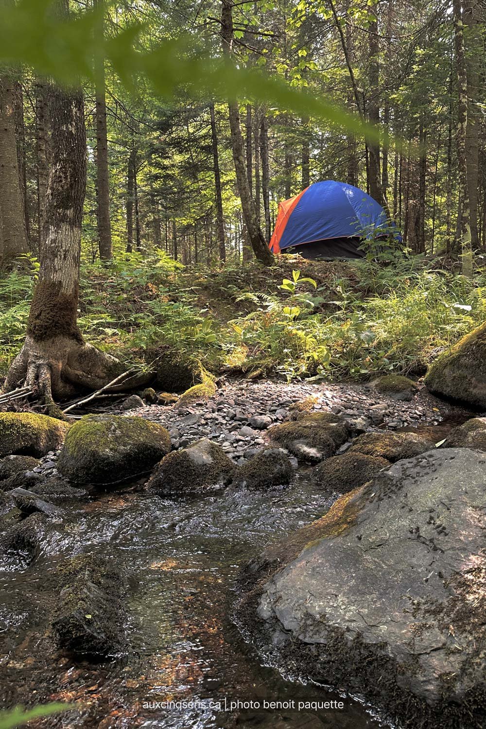vue-depuis-le-ruisseau-et-emplacement-de-tente-tortue-aspect23.jpg