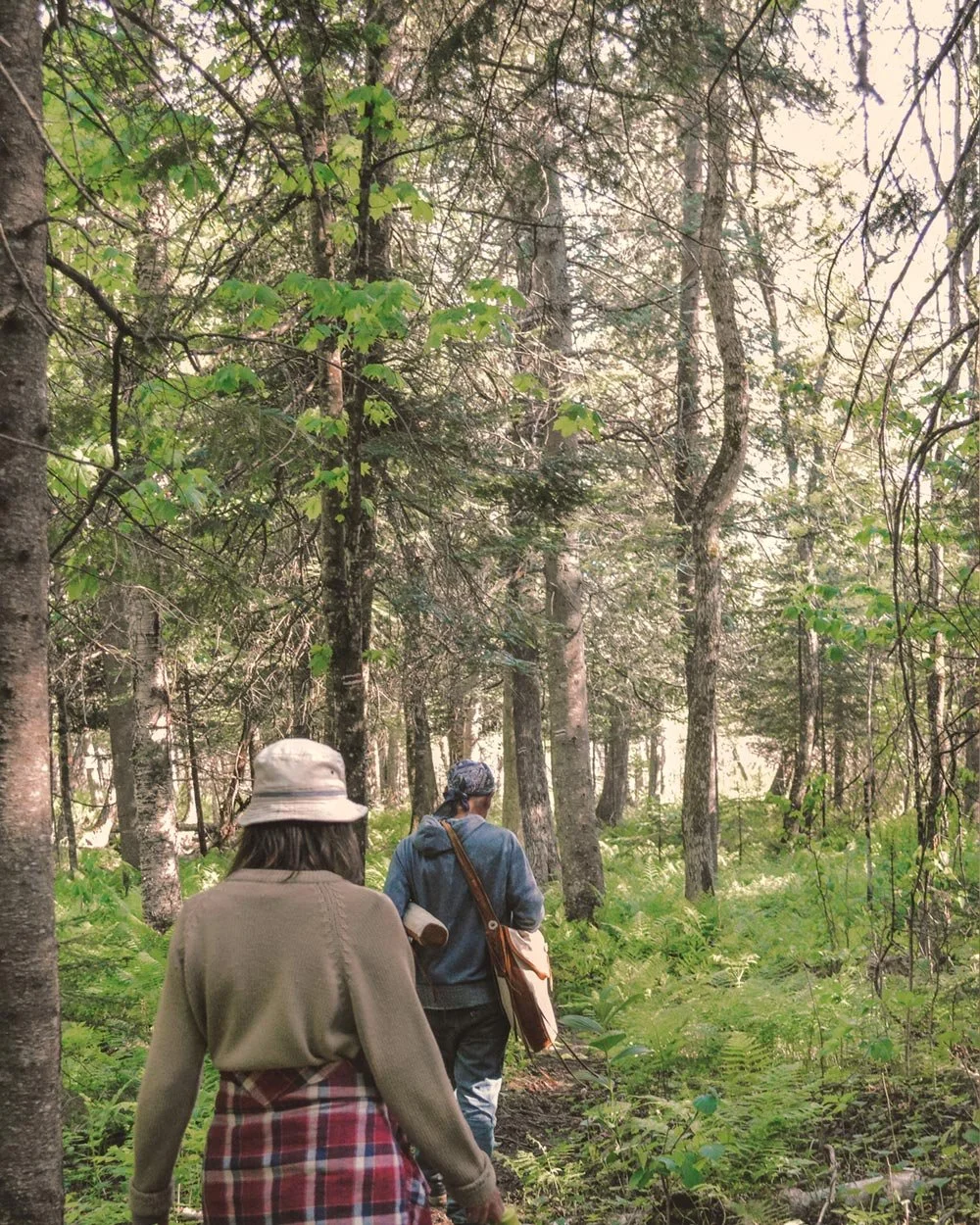 Deux personnes marchant en forêt l'été parmi les feuillus