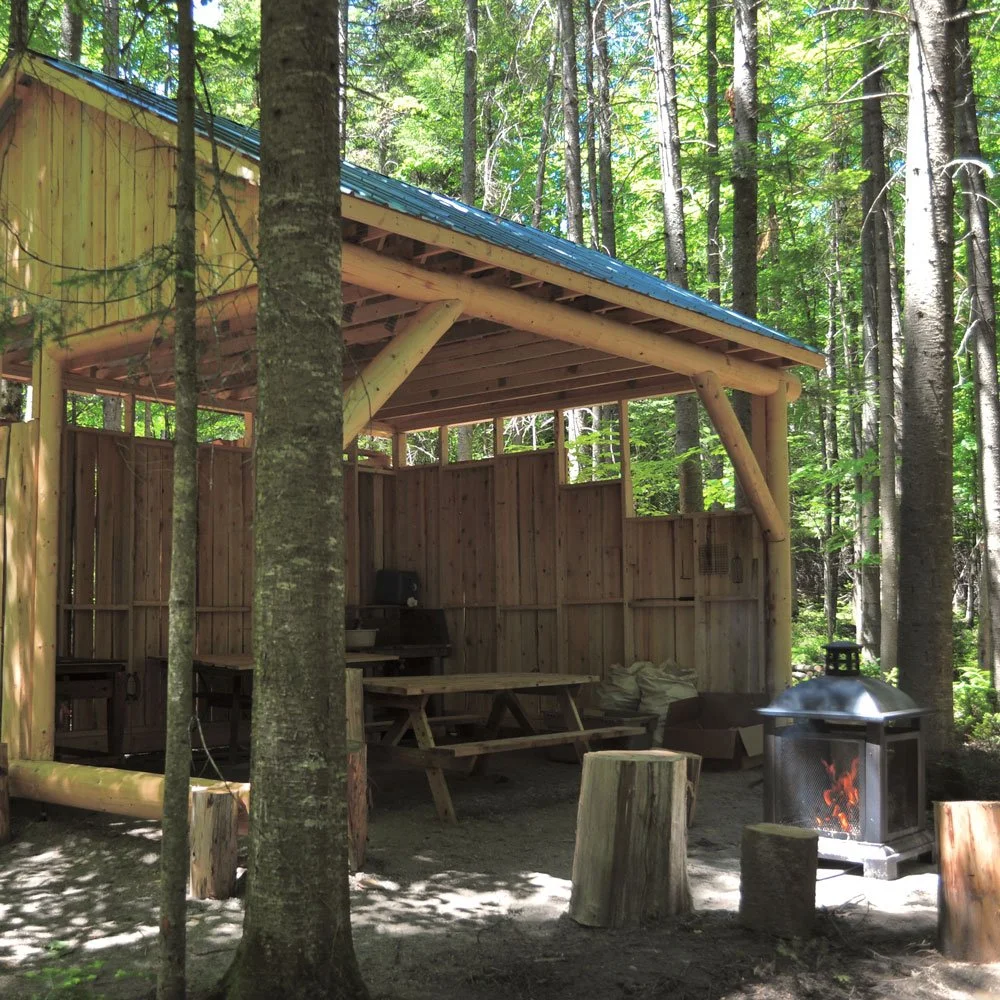 Aire commune de la zone de camping en pleine forêt, avec table à pique-nique abritée et espace feu.