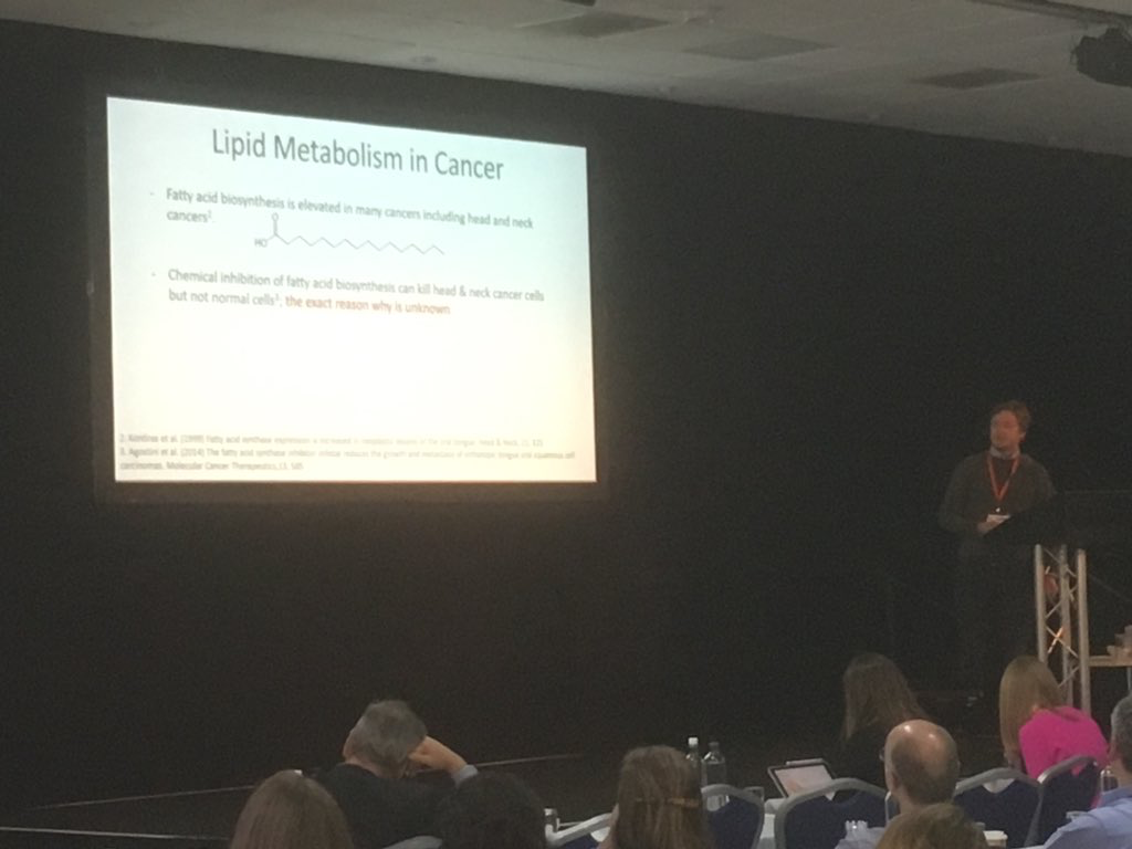 File 18-12-2018, 14 26 38.jpeg