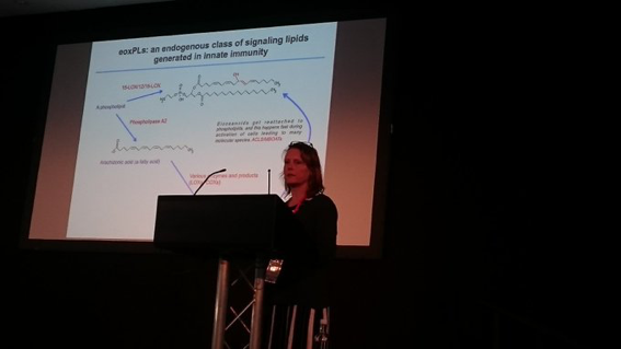 File 18-12-2018, 14 34 47.jpeg