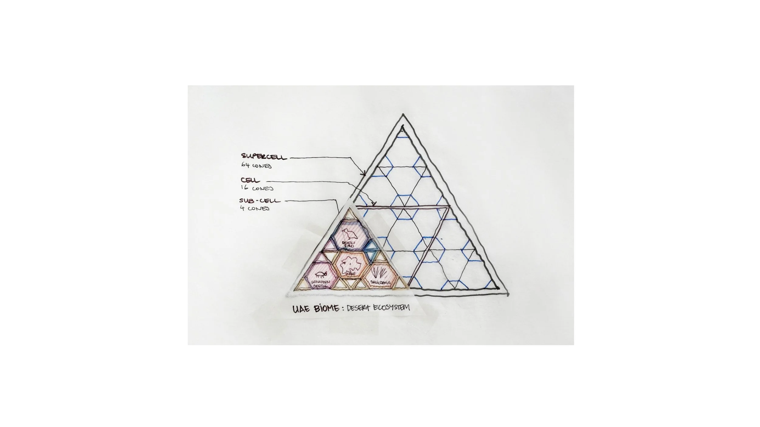 studioda - TARABOT 2.jpg