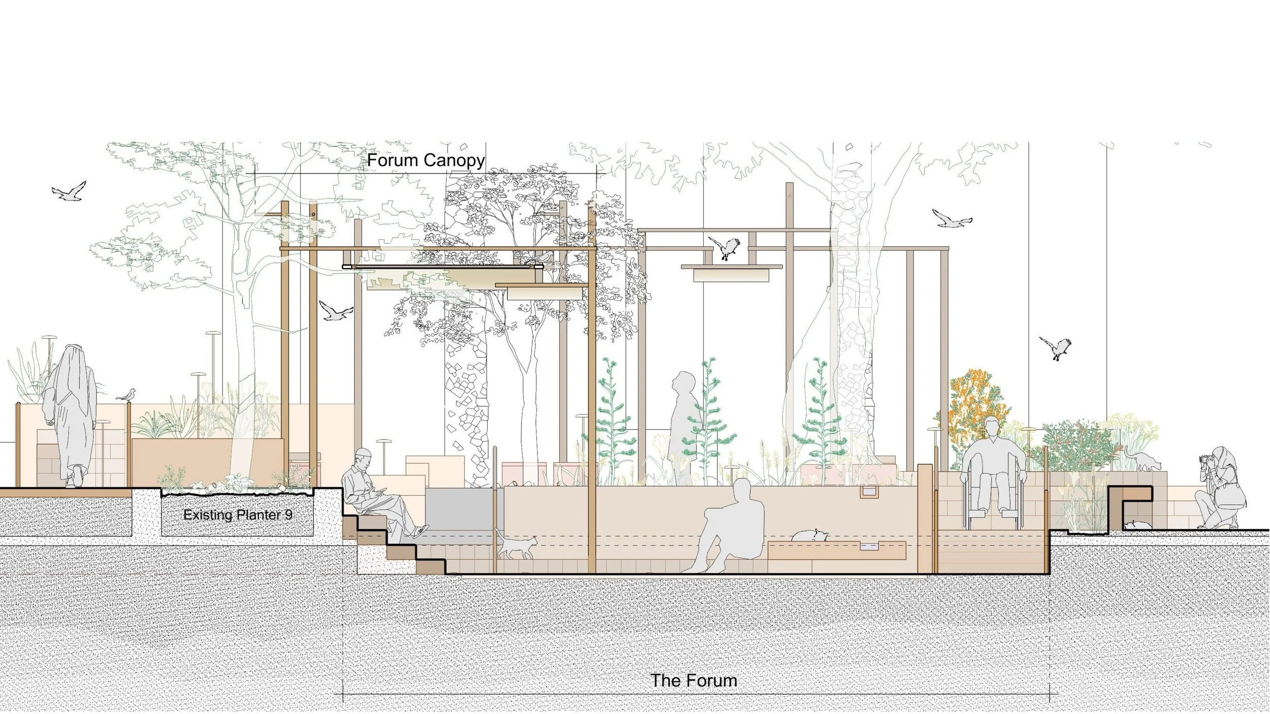 Dalia Hamati_Rawdah Regenerative Garden_AUS Library Plaza Redesign_4.jpg
