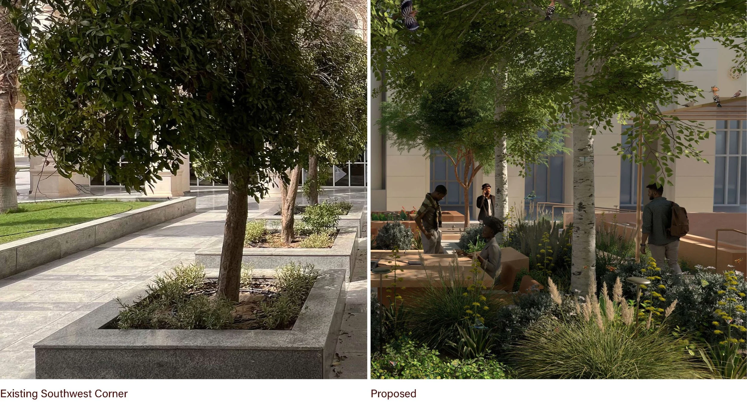 Dalia Hamati_Rawdah Regenerative Garden_AUS Library Plaza Redesign_10.jpg