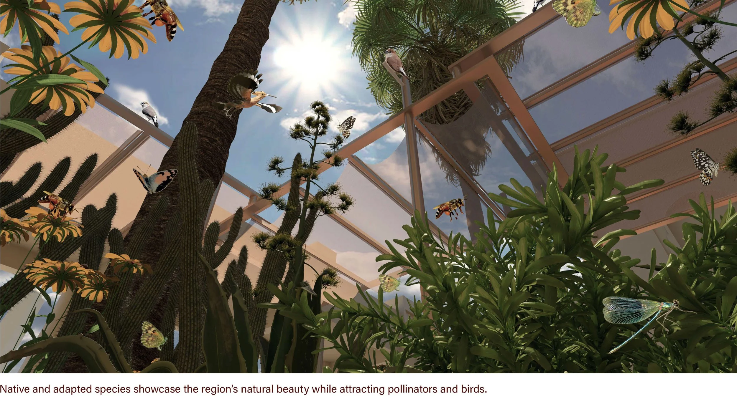 Dalia Hamati_Rawdah Regenerative Garden_AUS Library Plaza Redesign_14.jpg