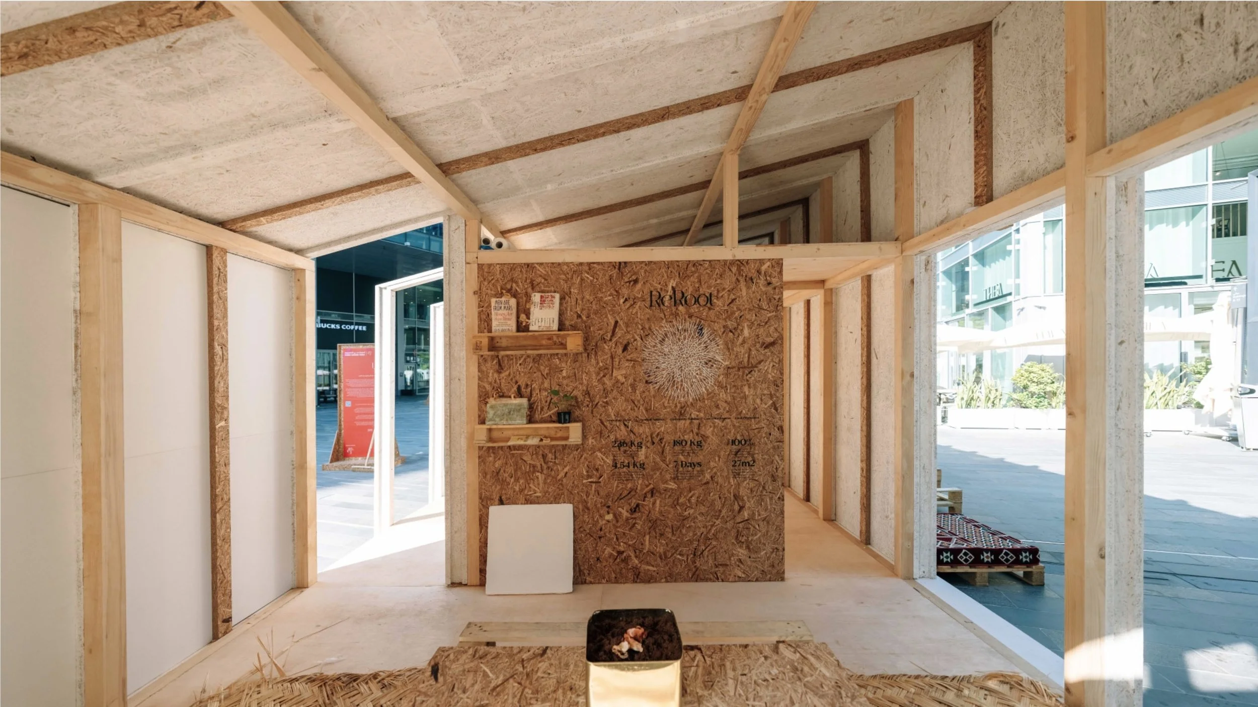 studioda - REROOT 6.jpg