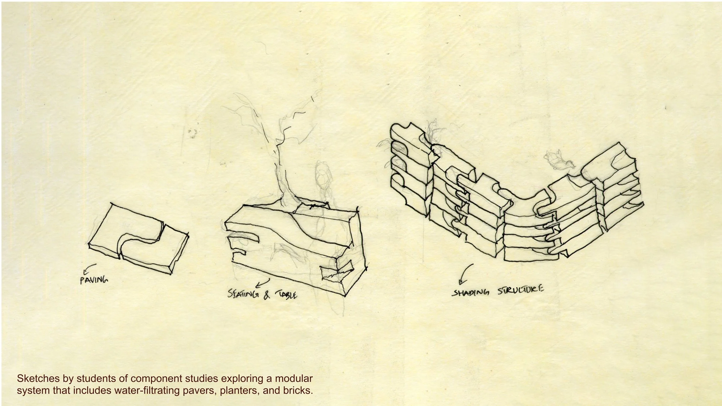 Dalia Hamati_Rawdah Regenerative Garden_AUS Library Plaza Redesign_5.jpg