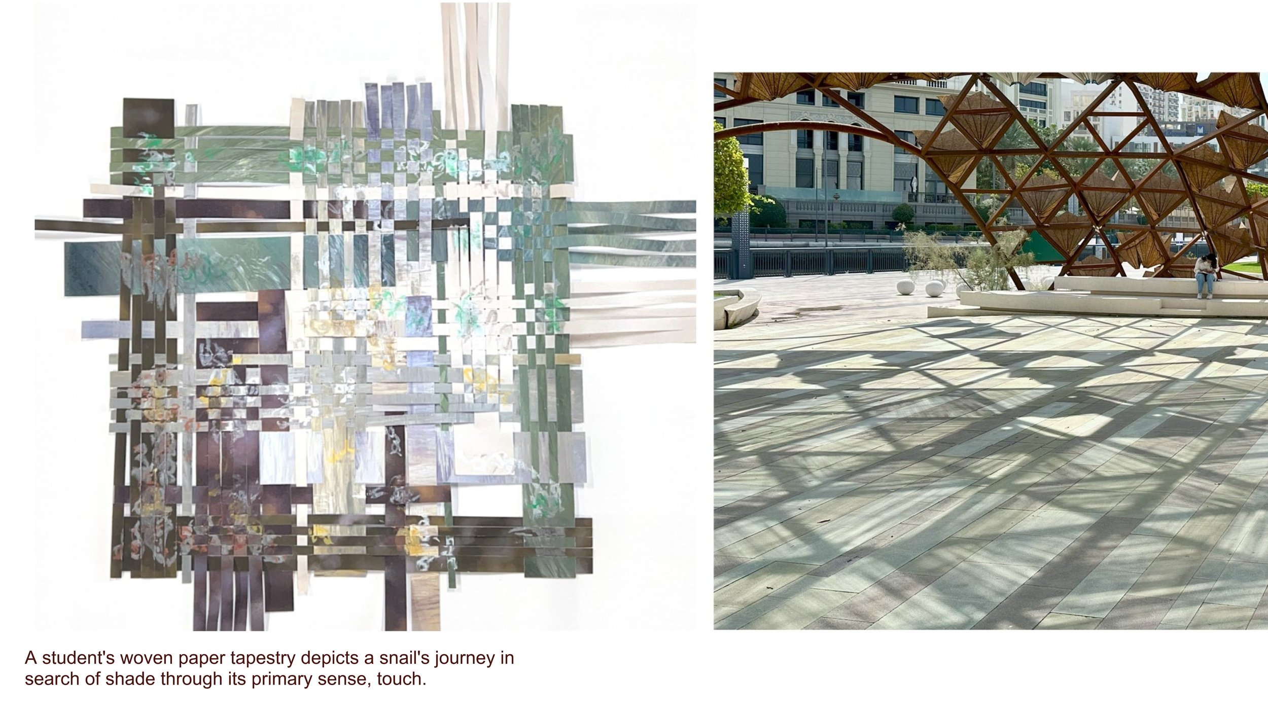 Dalia Hamati_Rawdah Regenerative Garden_AUS Library Plaza Redesign_15.jpg
