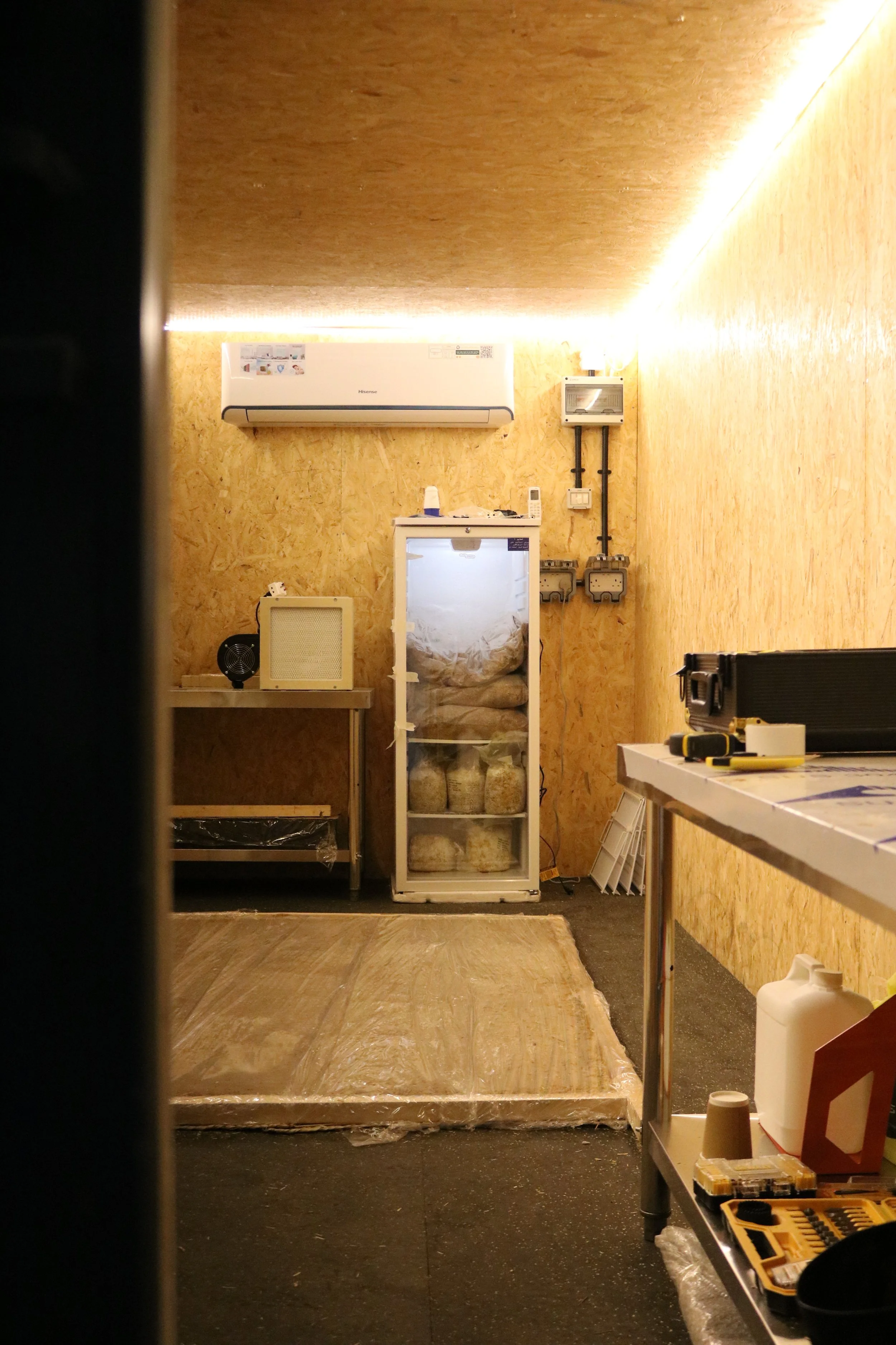 Dalia Hamati_Doha Design Biennale_Understorey_5.JPG