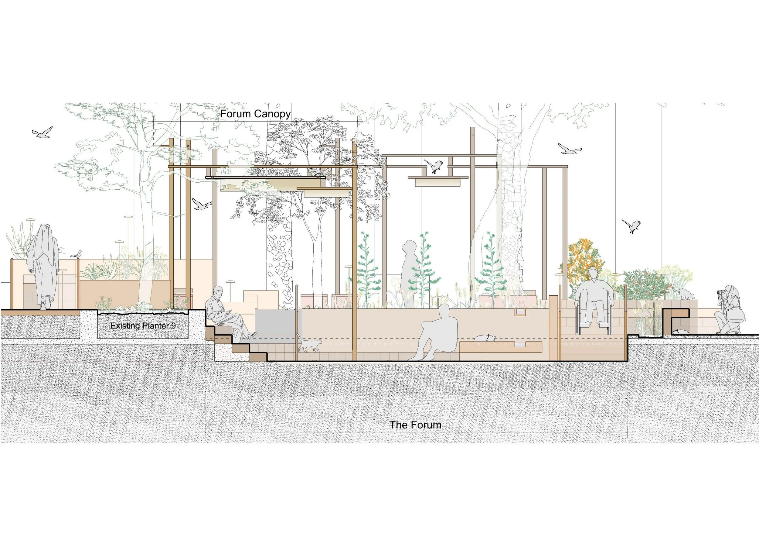 Rawdah transforms the plaza adjacent to the American University of Sharjah (AUS) Library into a regenerative landscape and interspecies refuge — a garden-as-classroom that integrates nature-based learning, biodiversity support, and student-led design