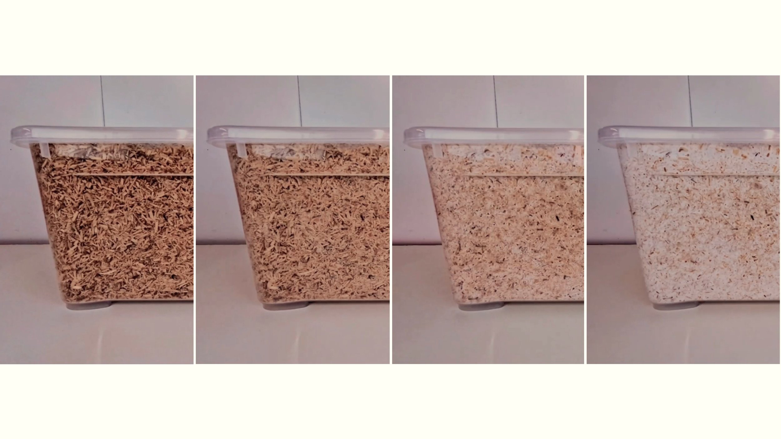 studioda - REROOT 5.jpg