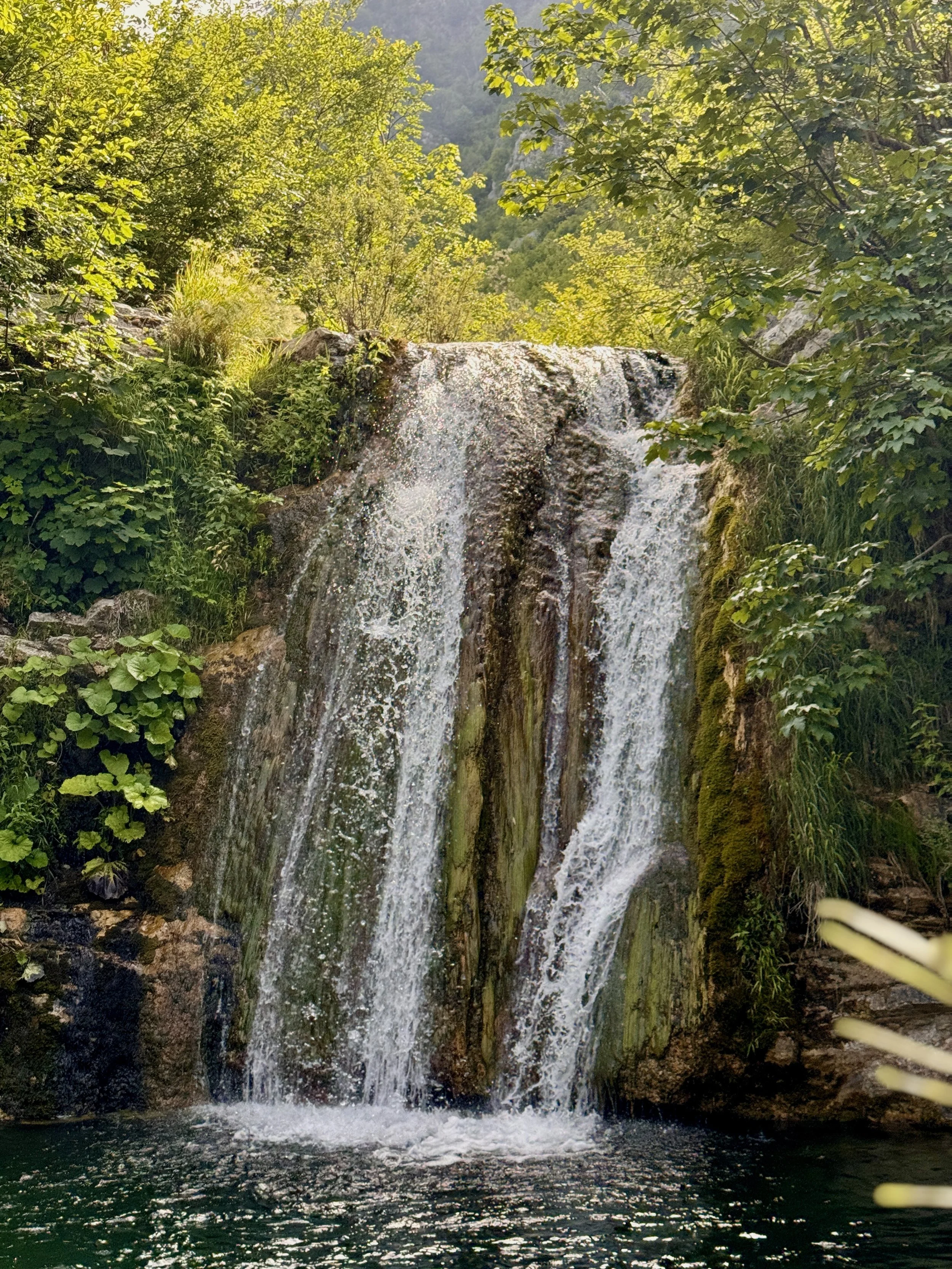 A small waterfall flowing into a pond, surrounded by lush green trees and bushes.