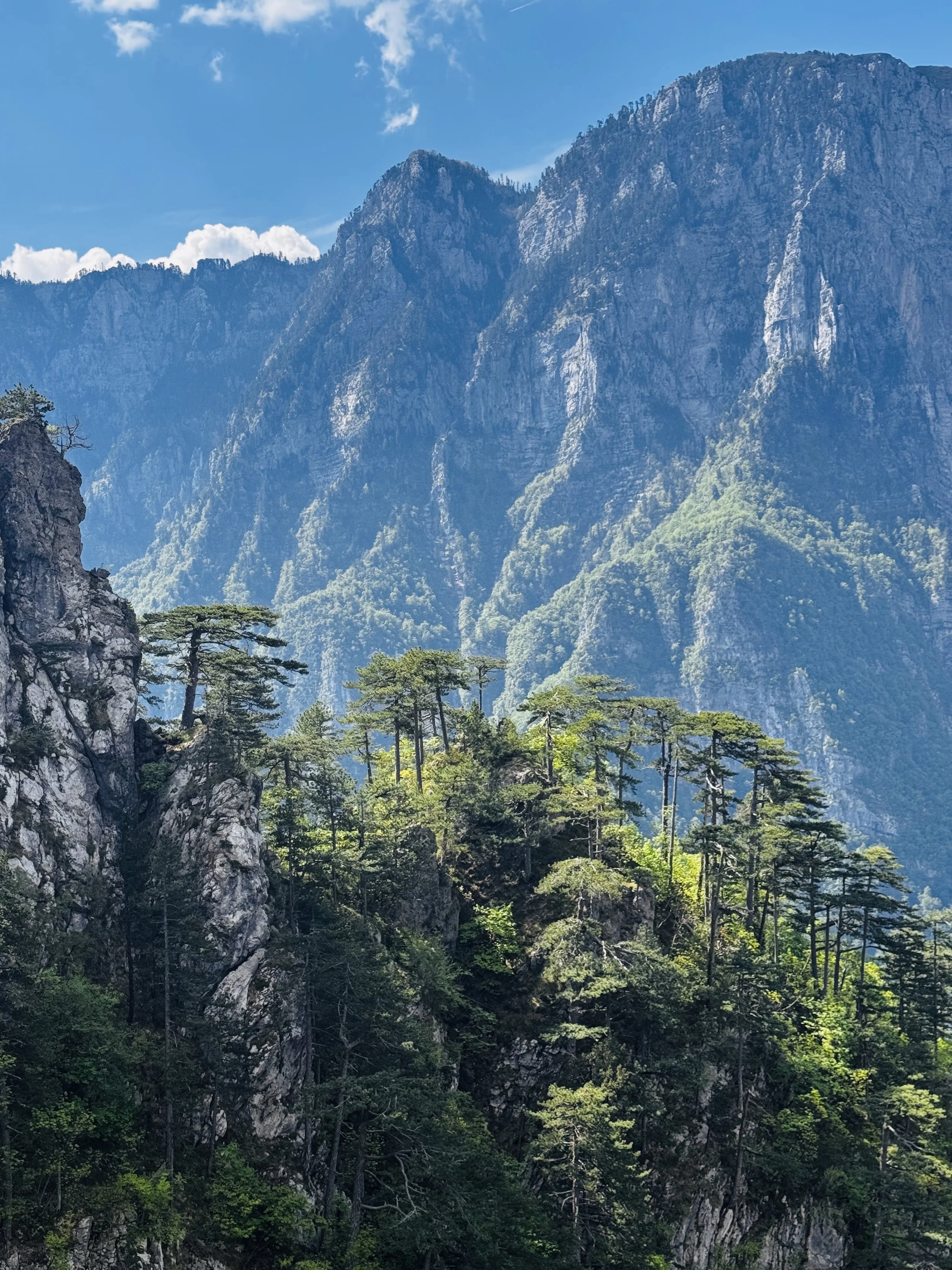 Mountain landscape with rocky peaks and green pine trees against a blue sky with clouds.