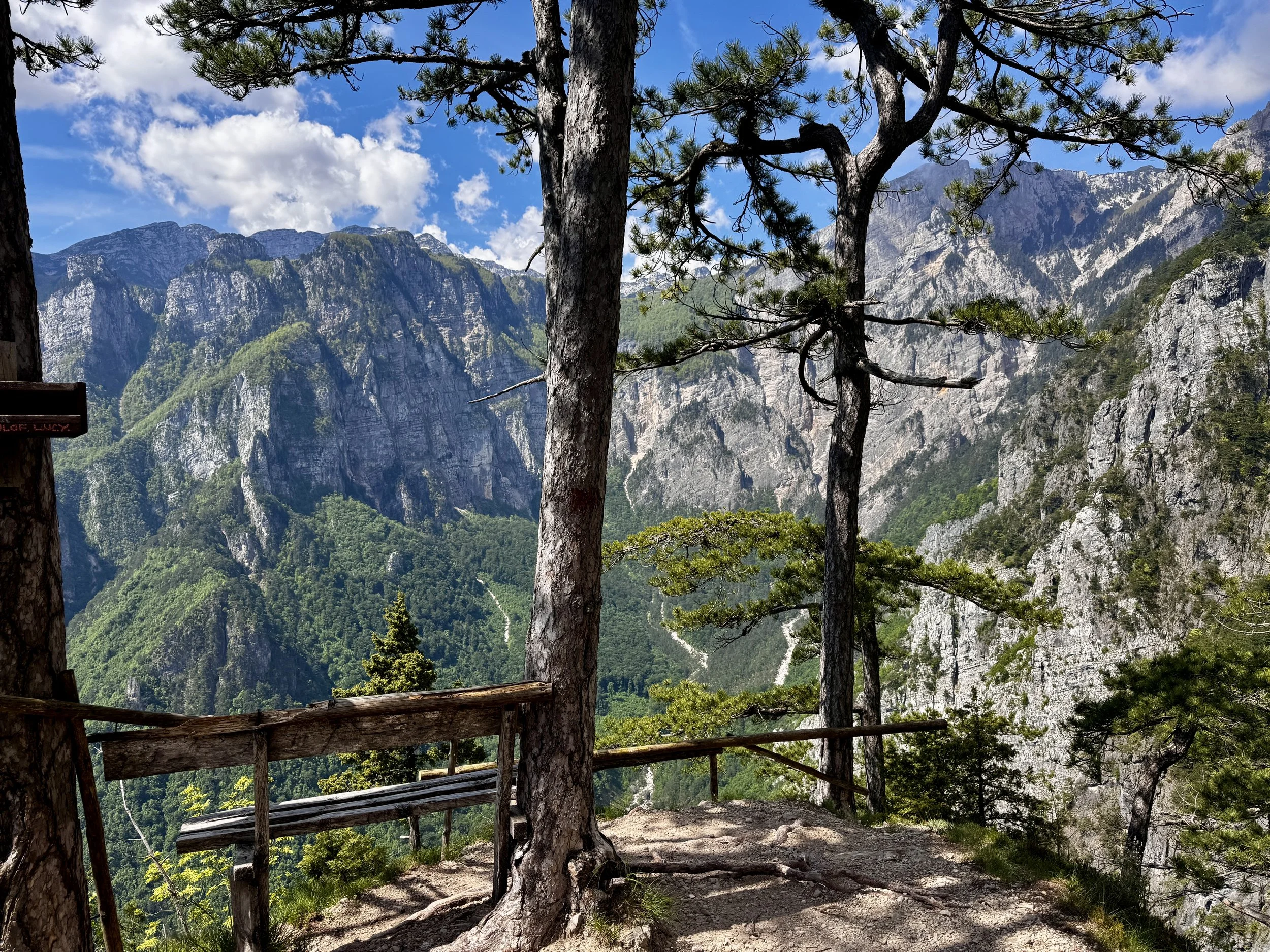 Mountain view with pine trees and a rustic wooden railing, lush green forested valleys, rocky mountain ridges, blue sky with clouds