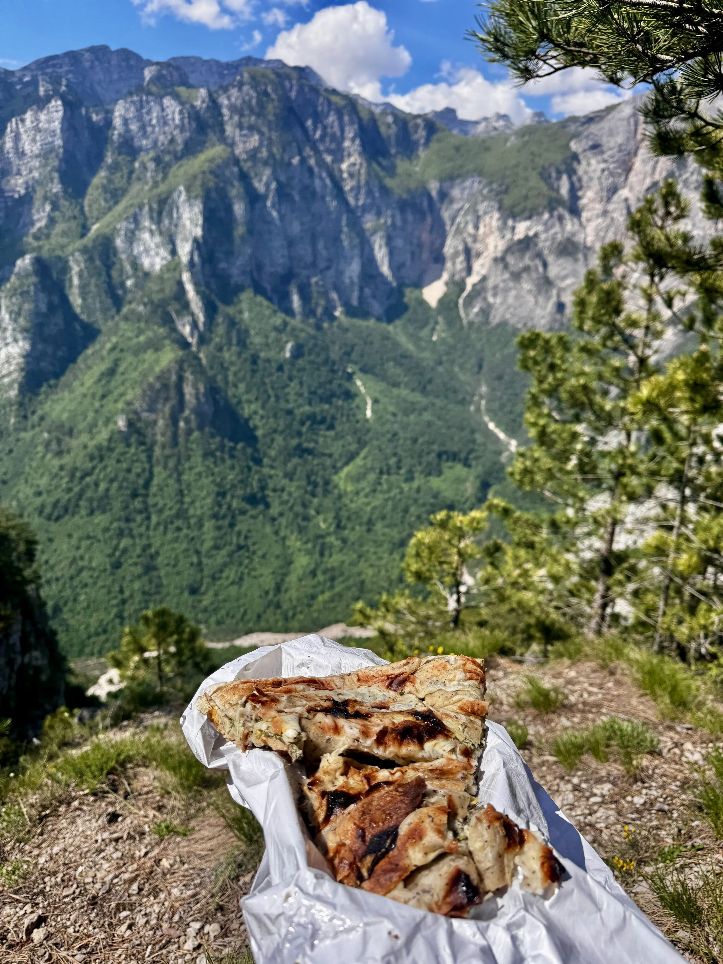 A slice of pizza with grilled chicken and vegetables on white paper, held outdoors on a mountain trail with green trees and rugged mountain peaks in the background under a blue sky with clouds.
