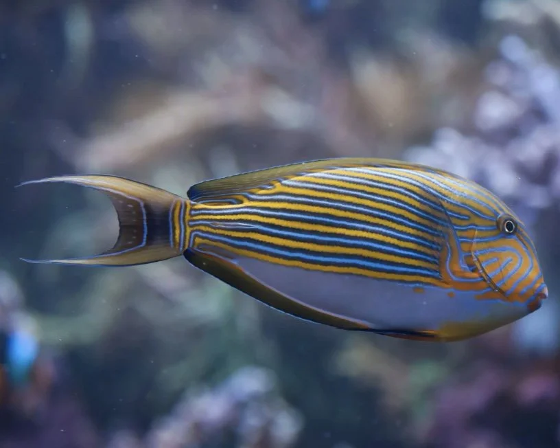 Image 8-30-24 at 11.52 AM.jpeg