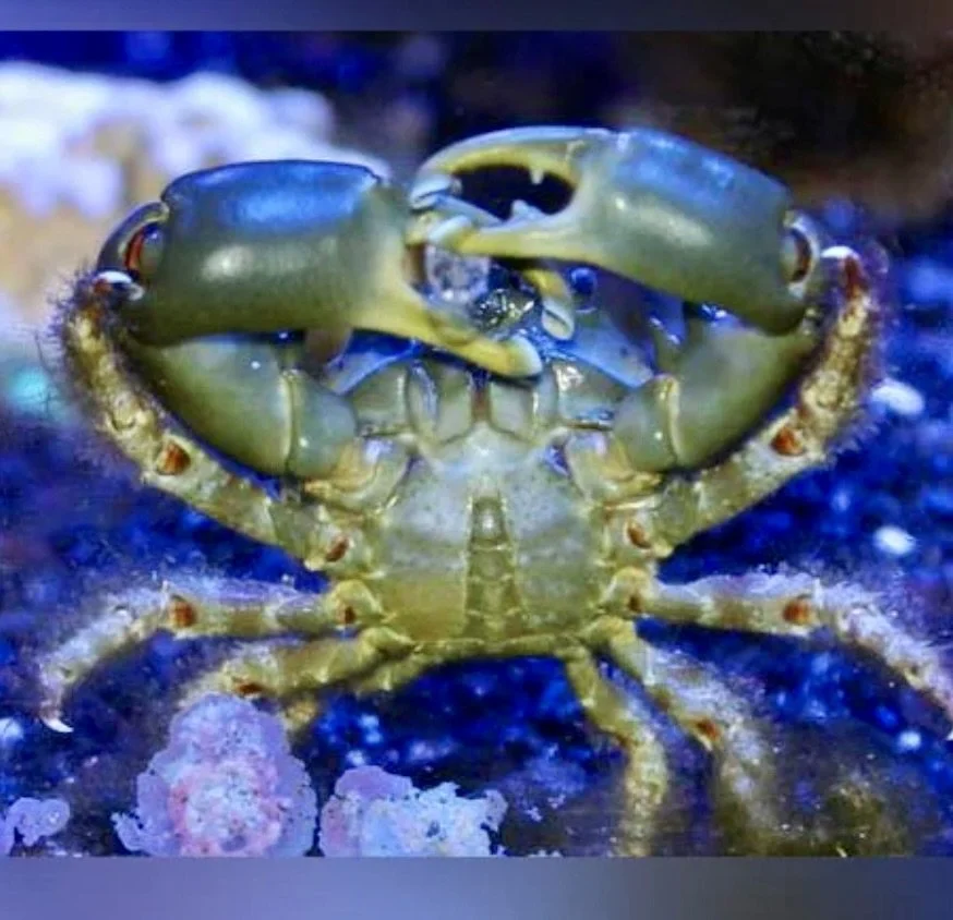 Image 8-19-24 at 7.52 AM.jpeg