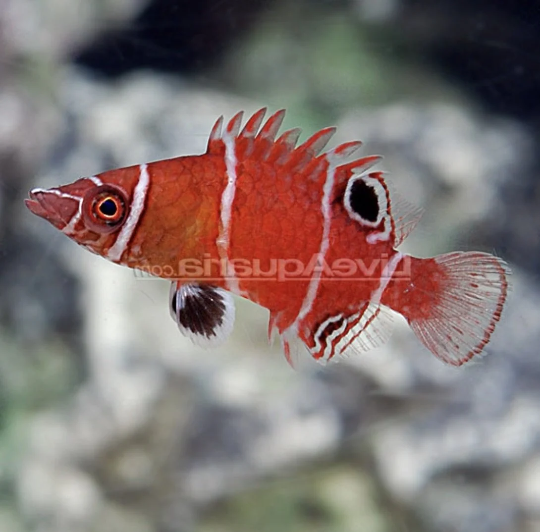 Image 7-1-25 at 8.01 AM.jpeg