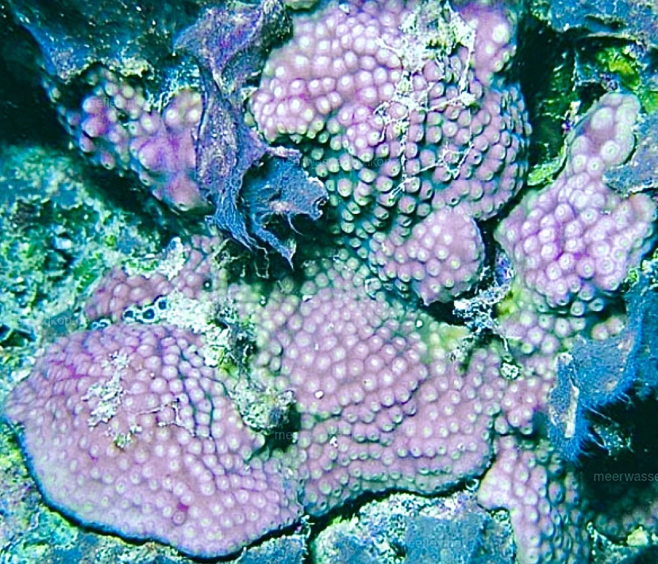 Image 1-21-26 at 8.29 AM.jpeg