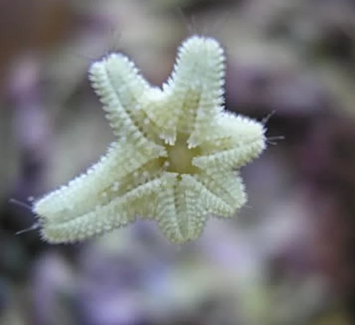 Image 9-13-24 at 8.21 AM.jpeg