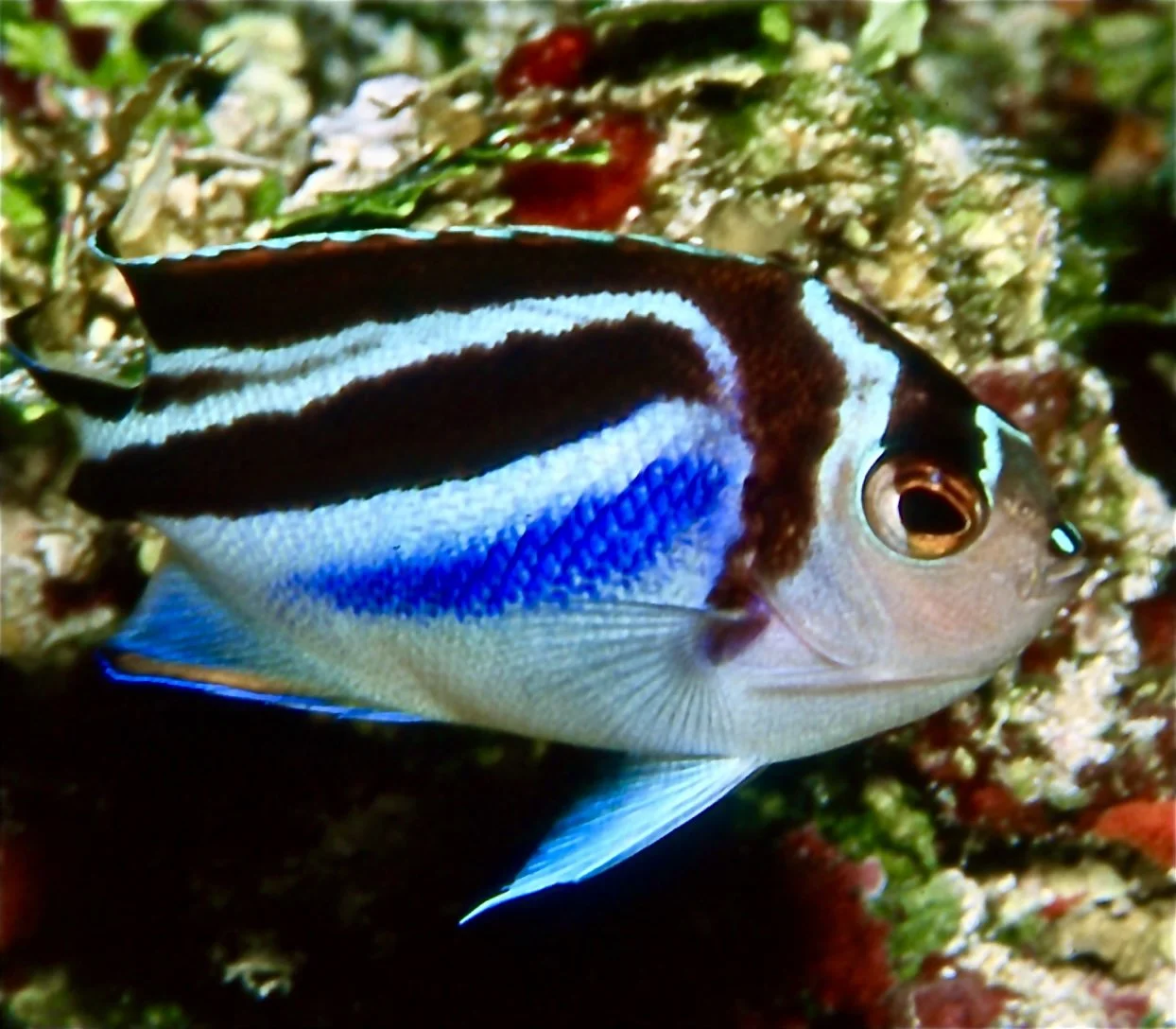 Image 12-30-24 at 6.54 AM.jpeg