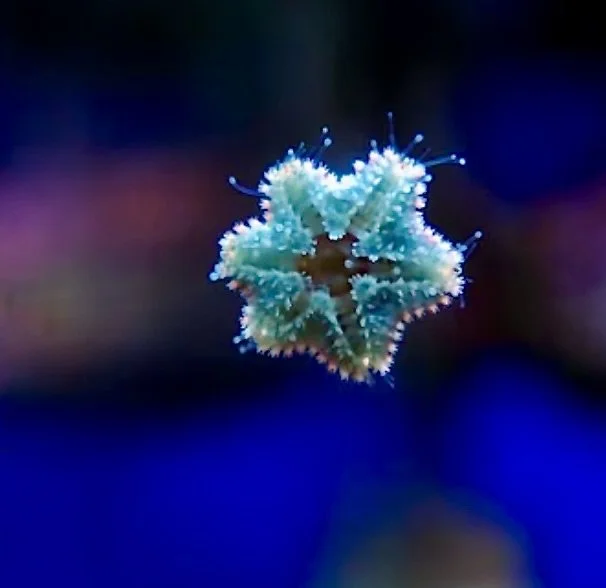 Image 9-13-24 at 8.24 AM.jpeg