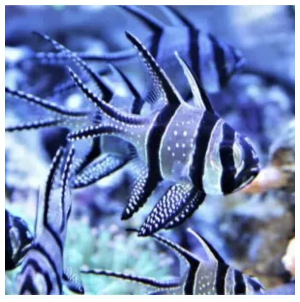 Image 9-17-24 at 10.10 AM.jpeg