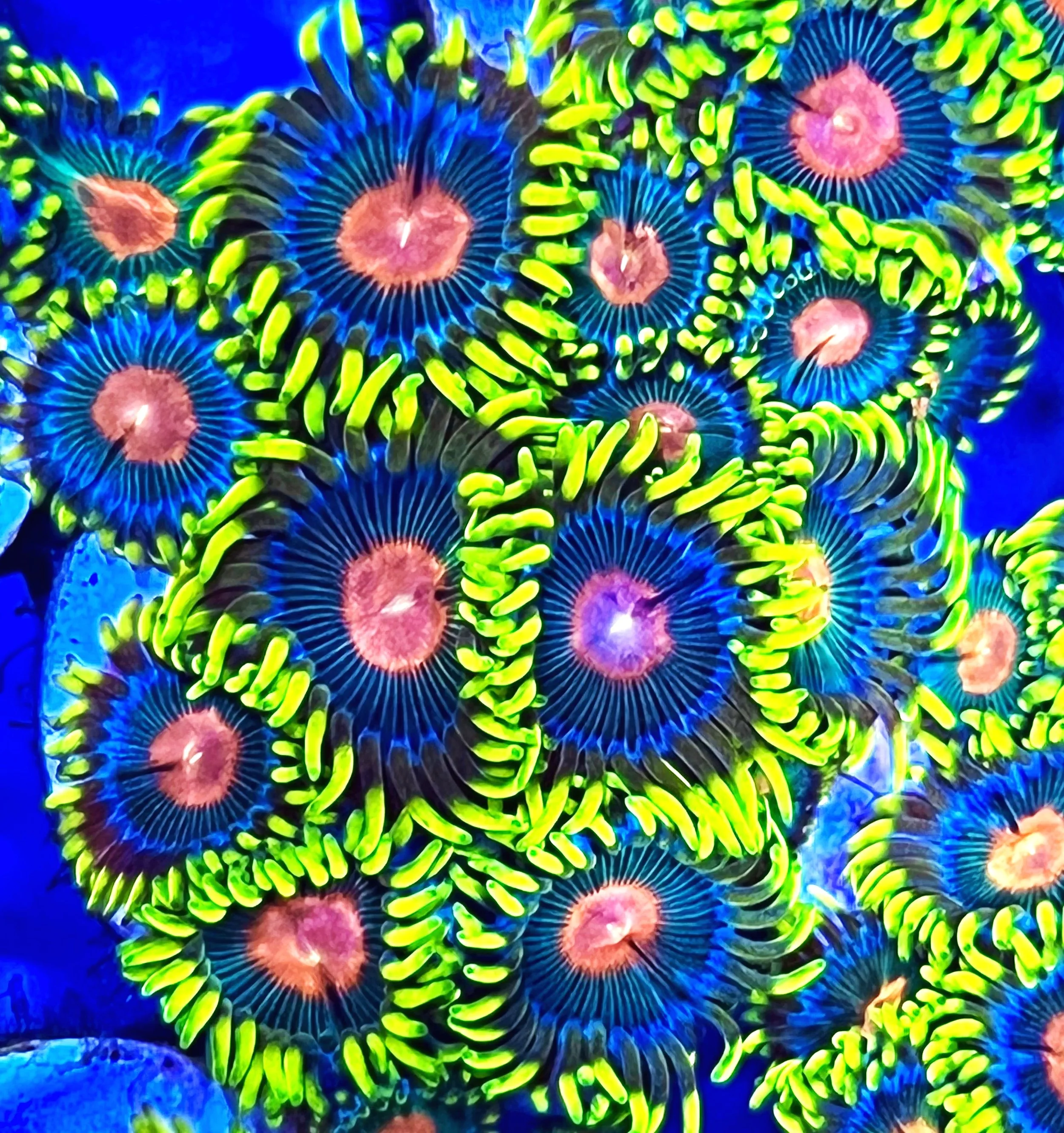 IMG_0916.jpg